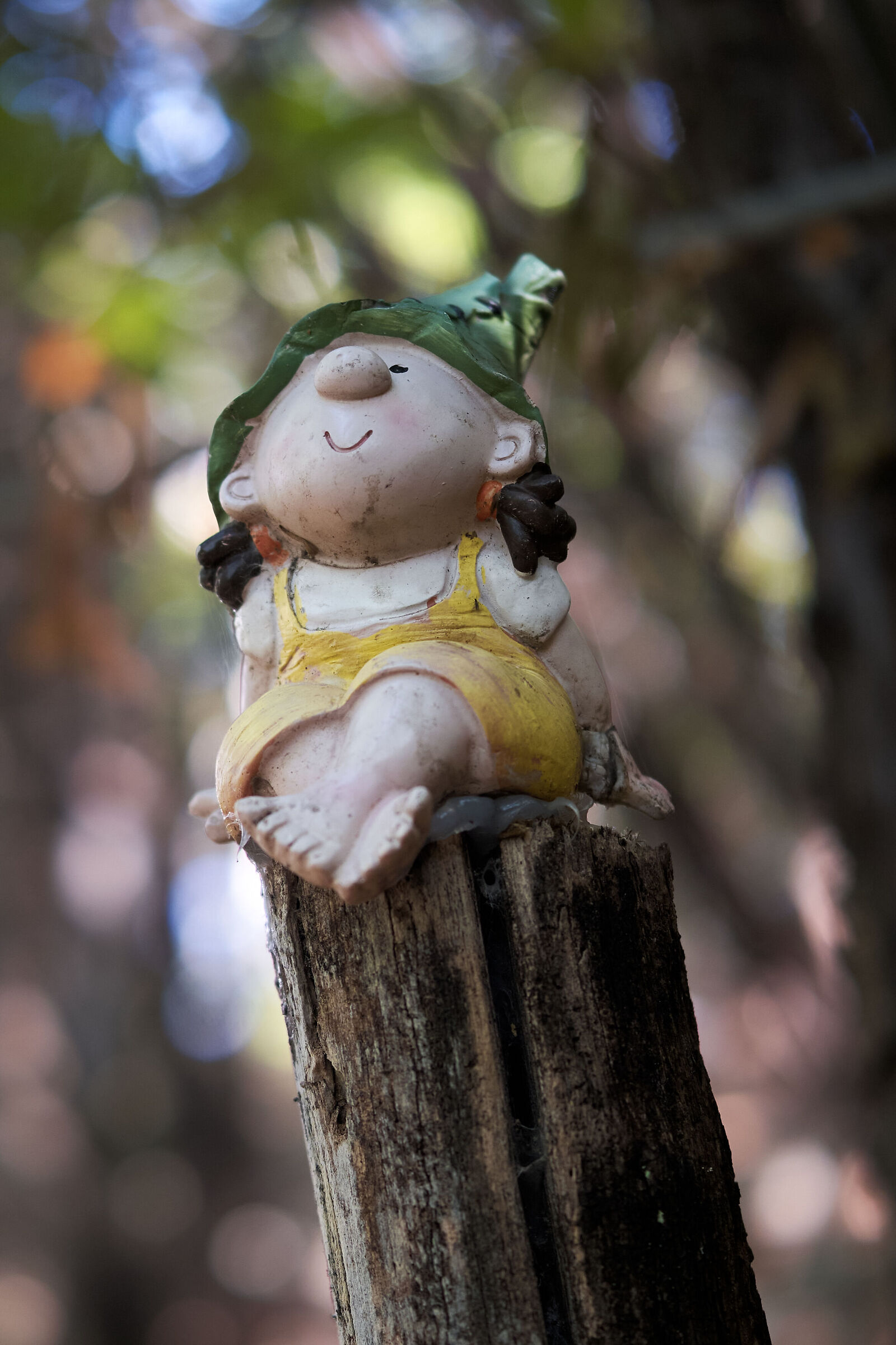 Fairytale subject in the woods