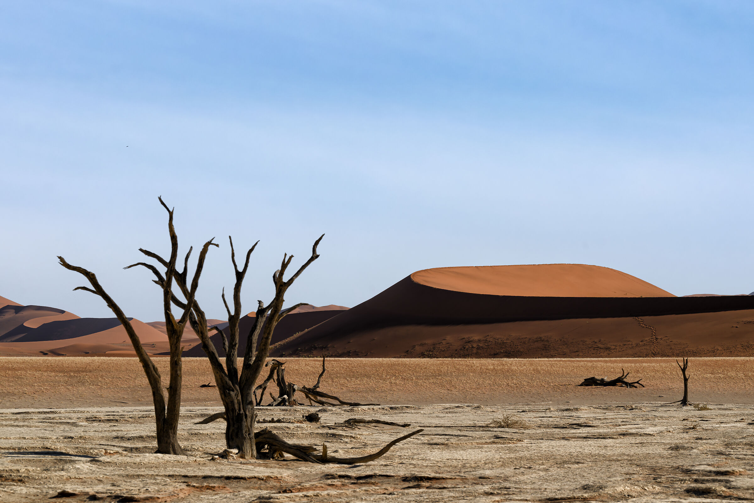 Deadvlei, la "palude morta"