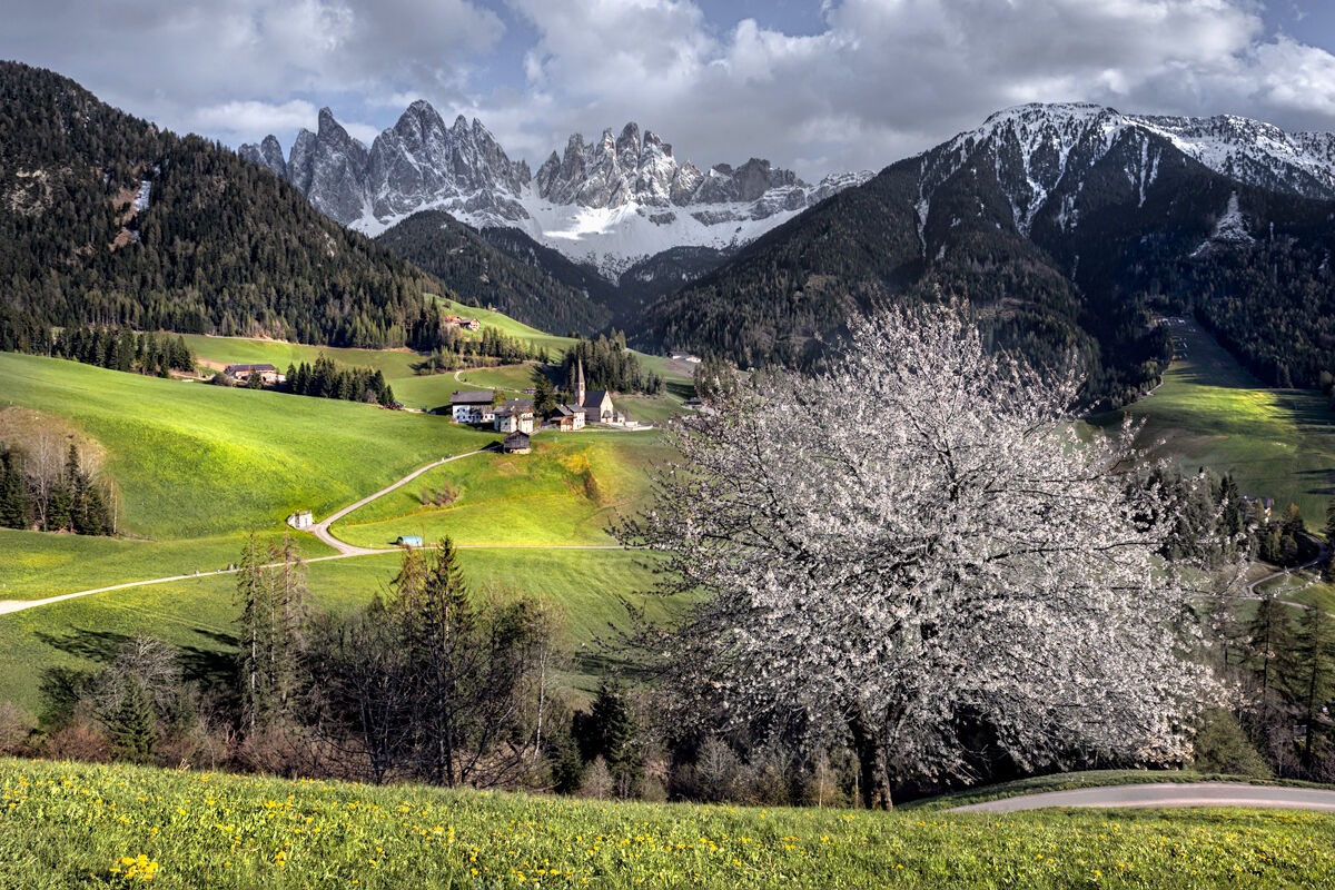 Spring time