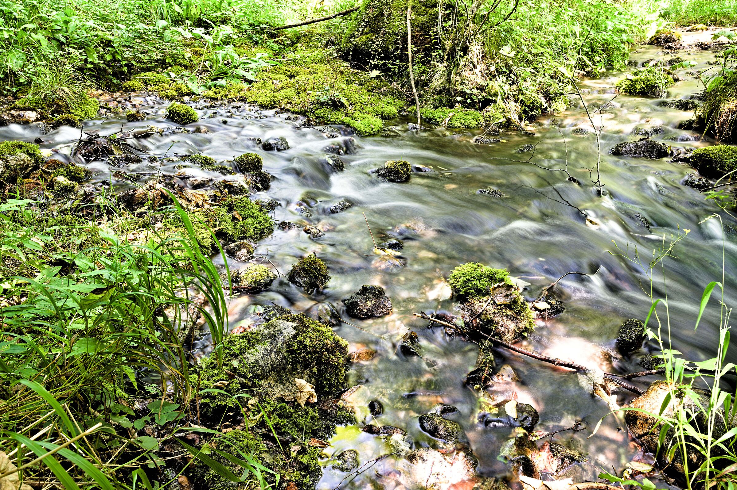 Torrente Caorame (di terra e d'amore)