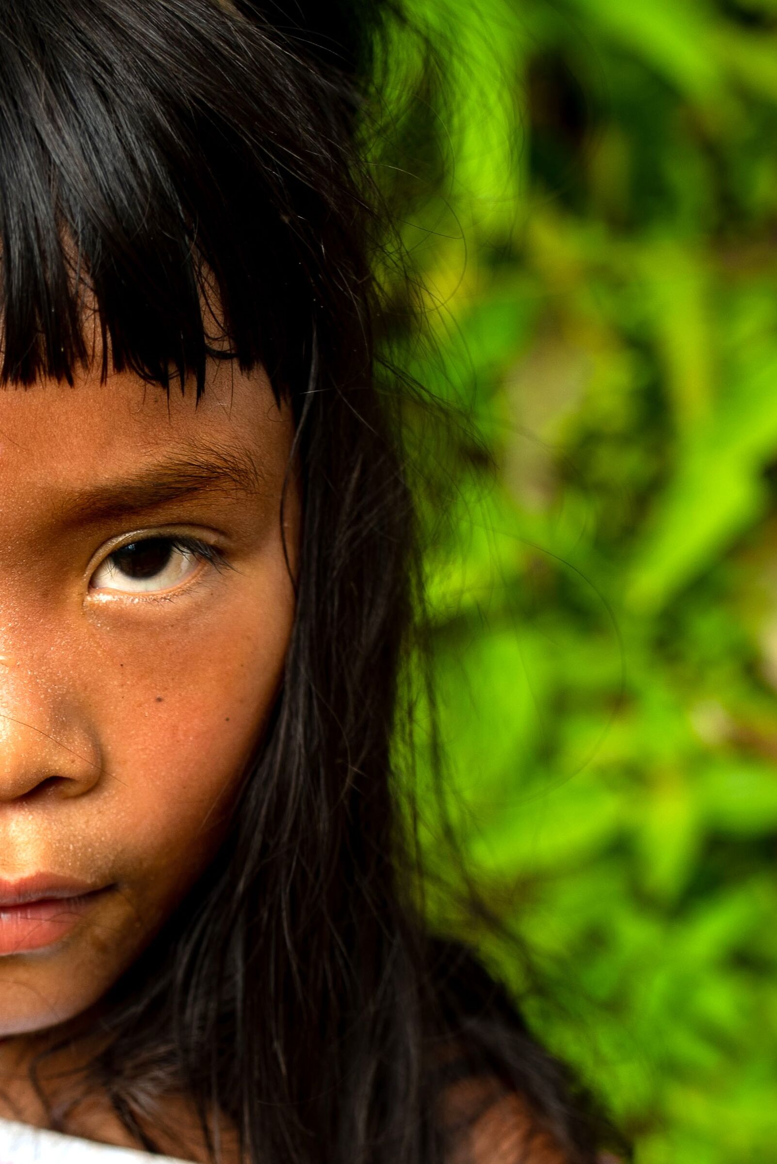 Kogui Tribe