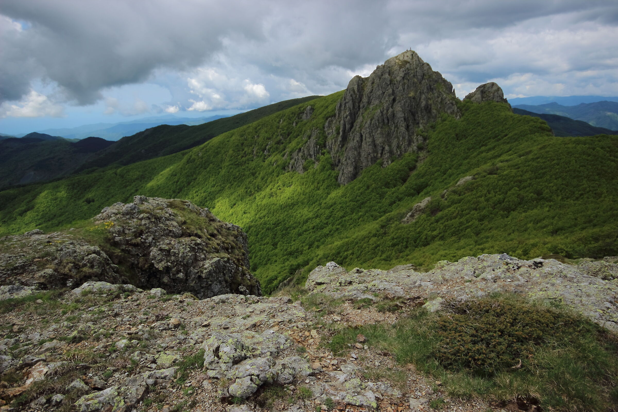 monte penna