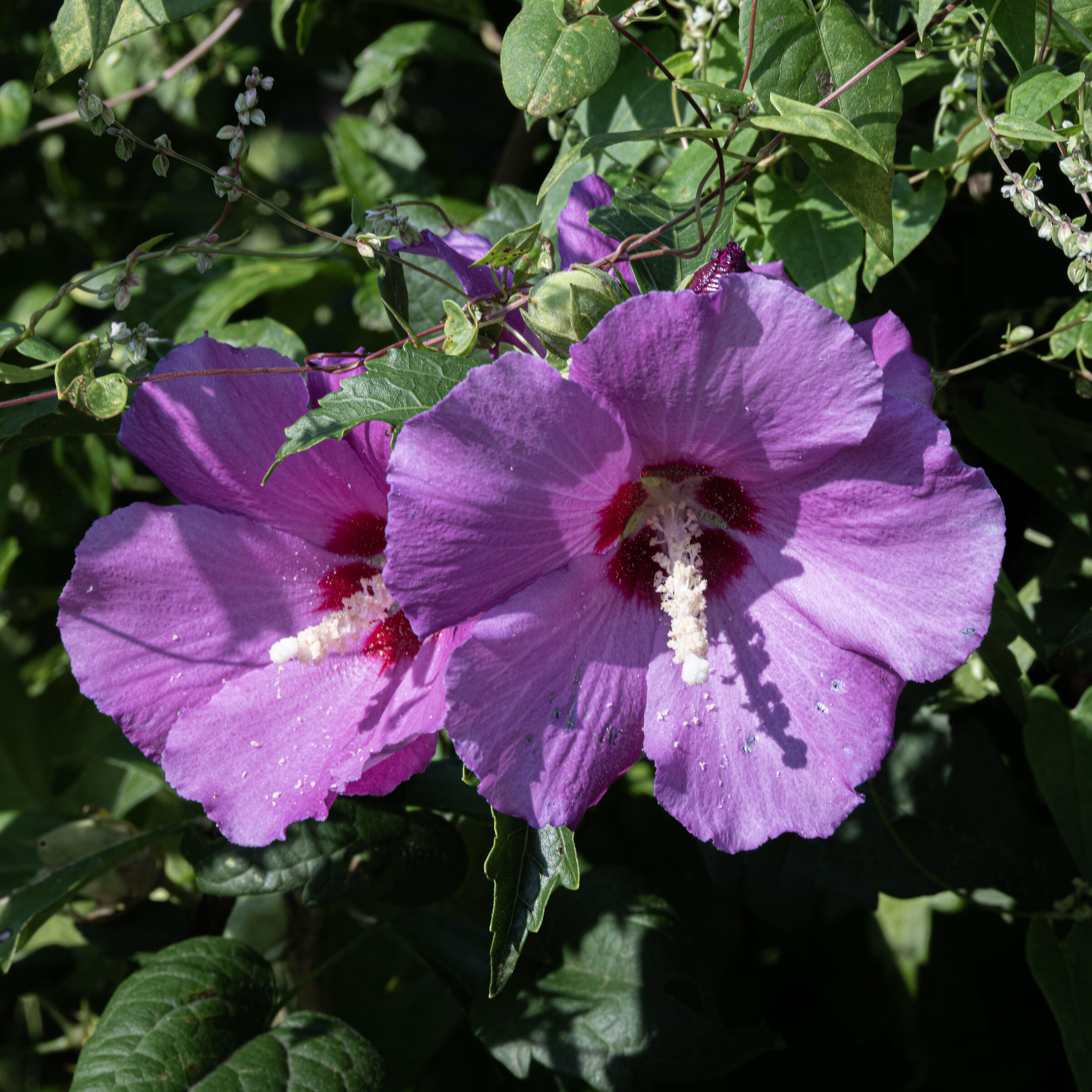 Untitled Photo