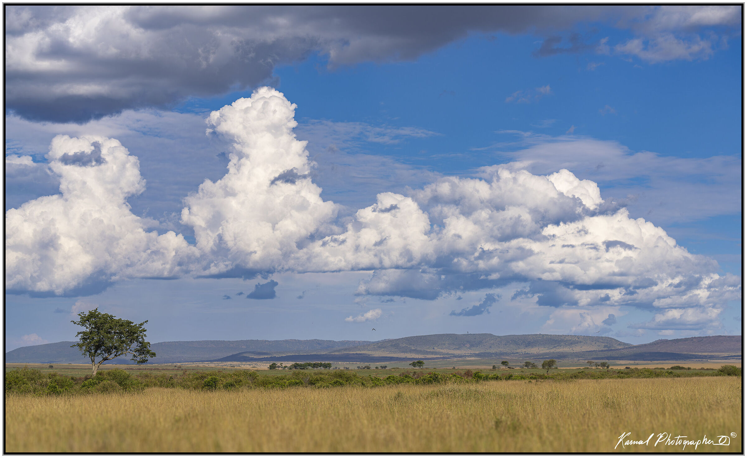 Masai Mara