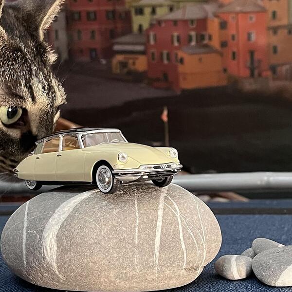 Foto
