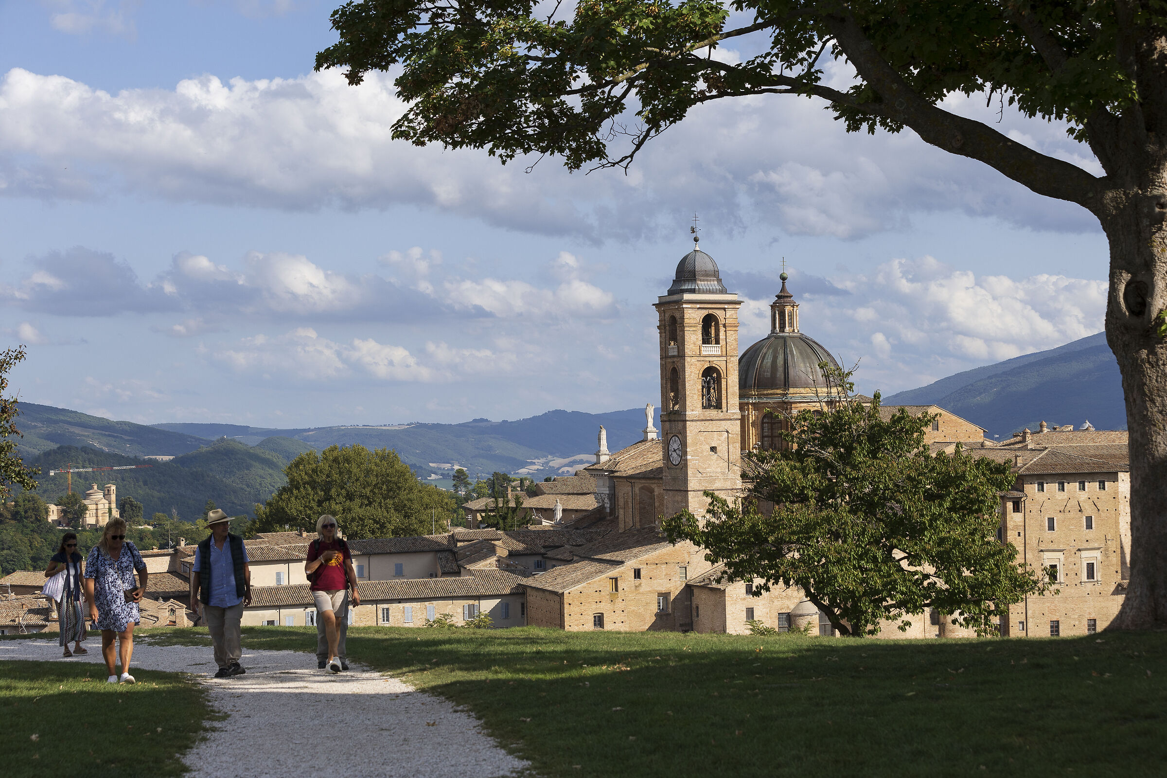 Urbino