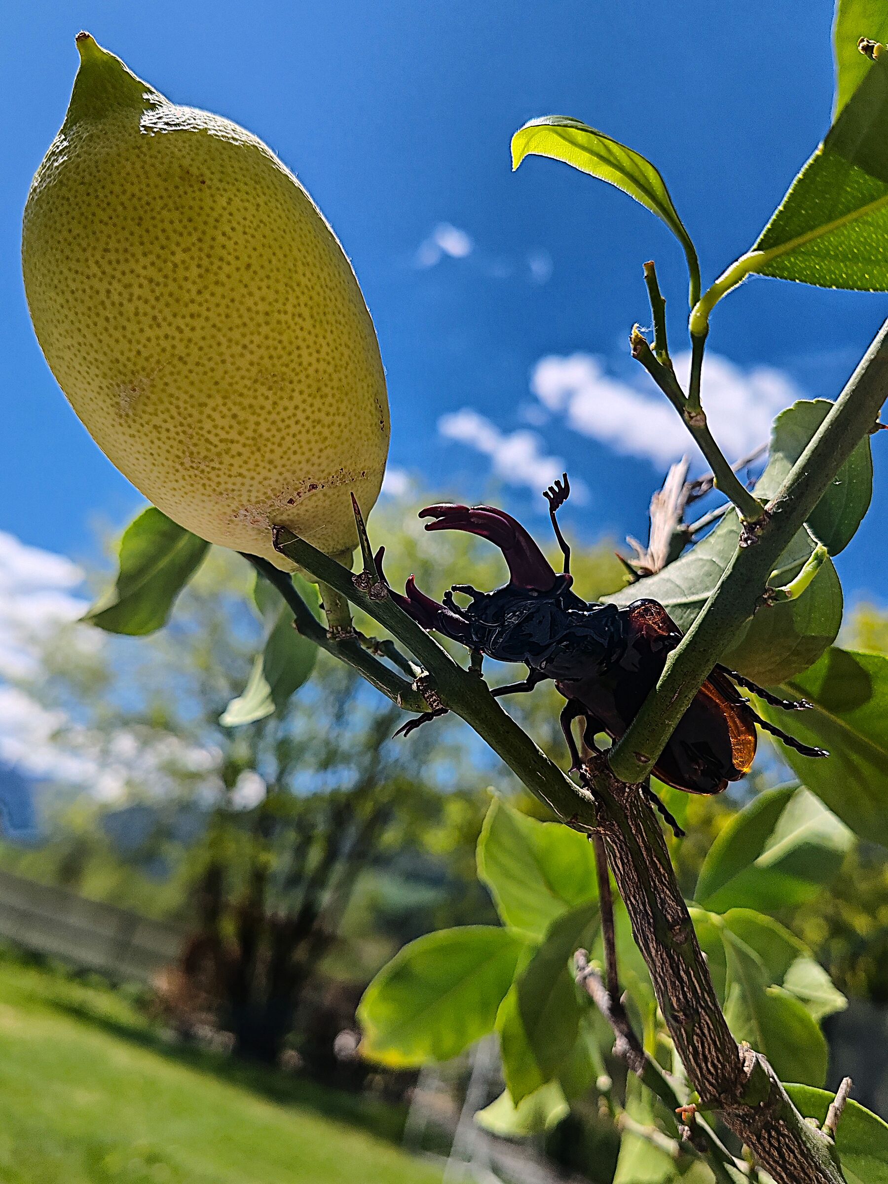 From below up... 6 ...