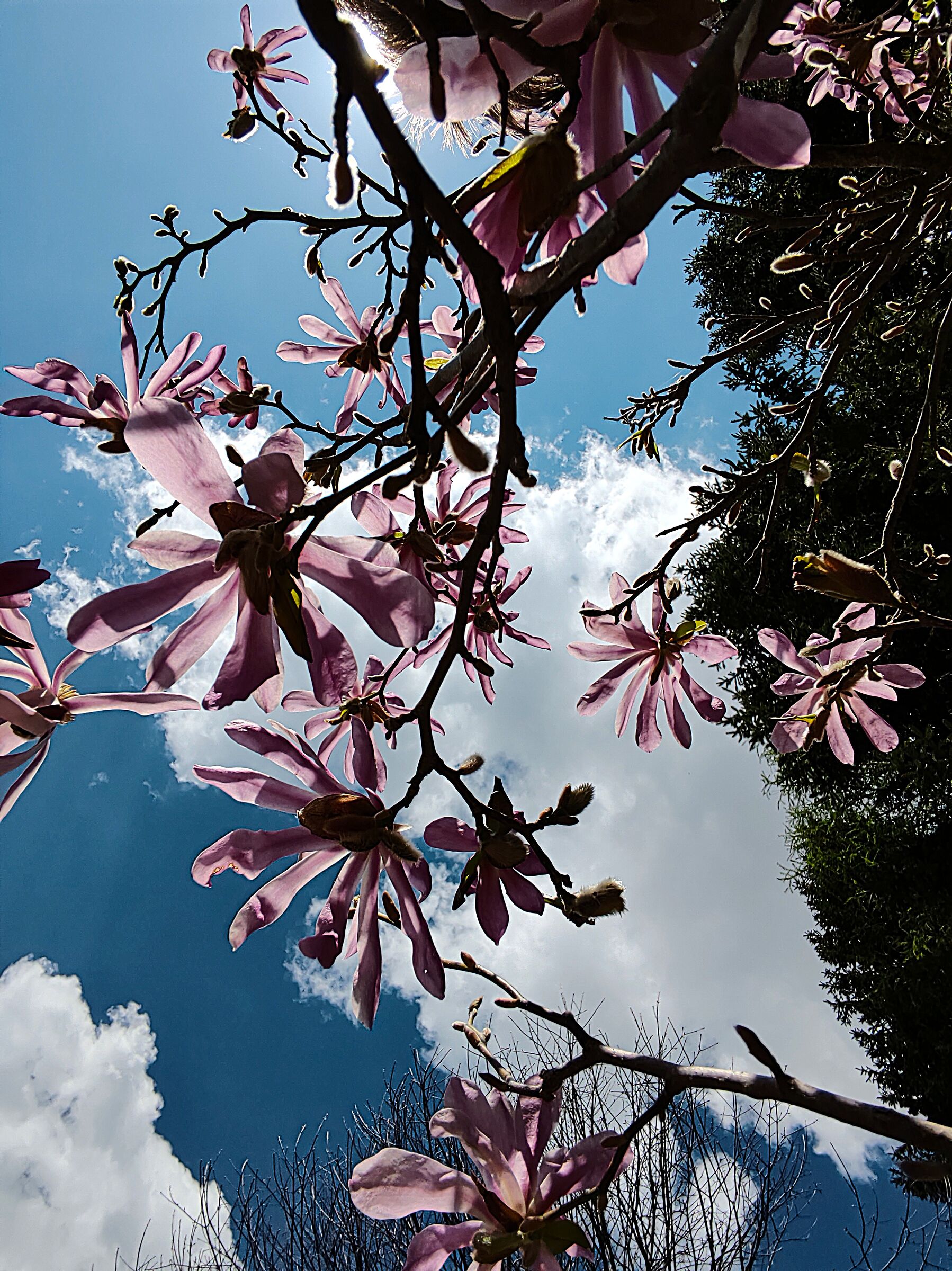 From bottom to top ... 7 ...