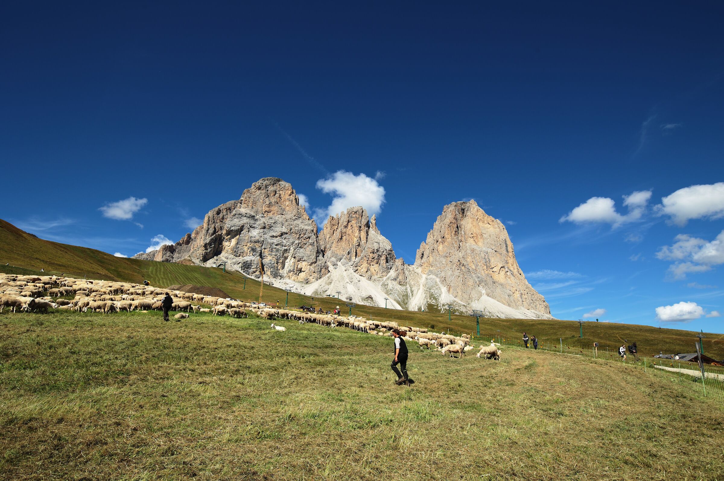Gruppo del Sassolungo