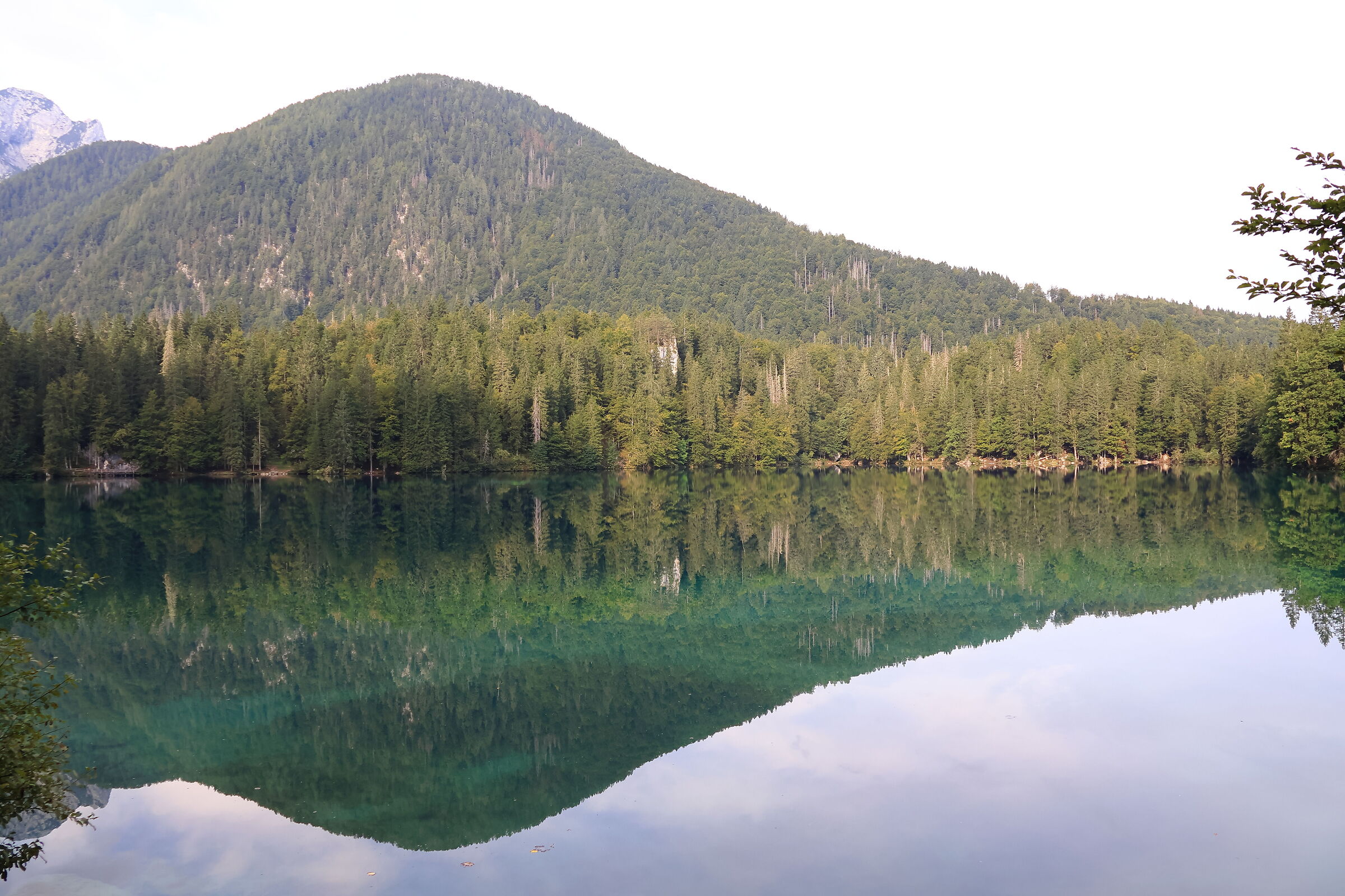 reflection on the lake