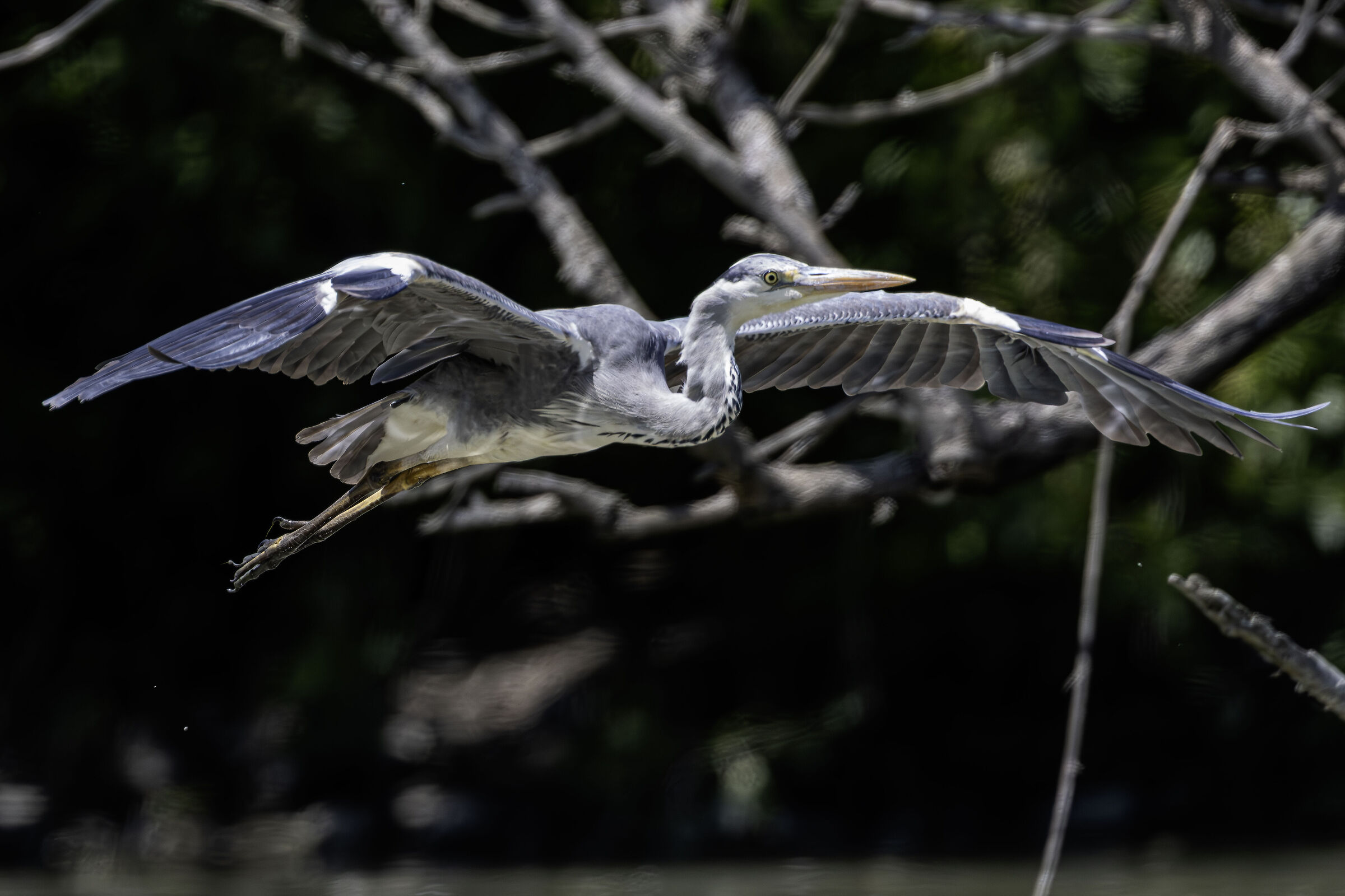 Flying low