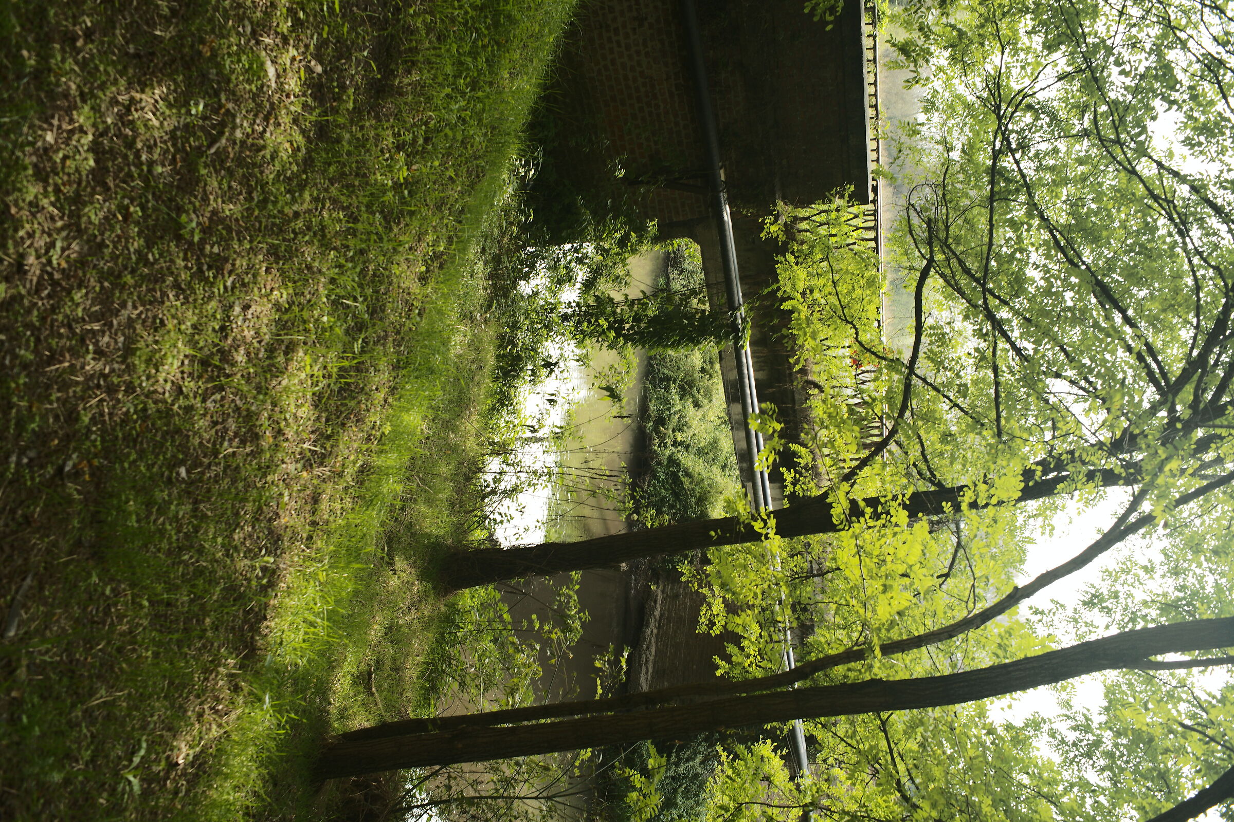 Paesaggio urbano: il ponte sul Gravellone