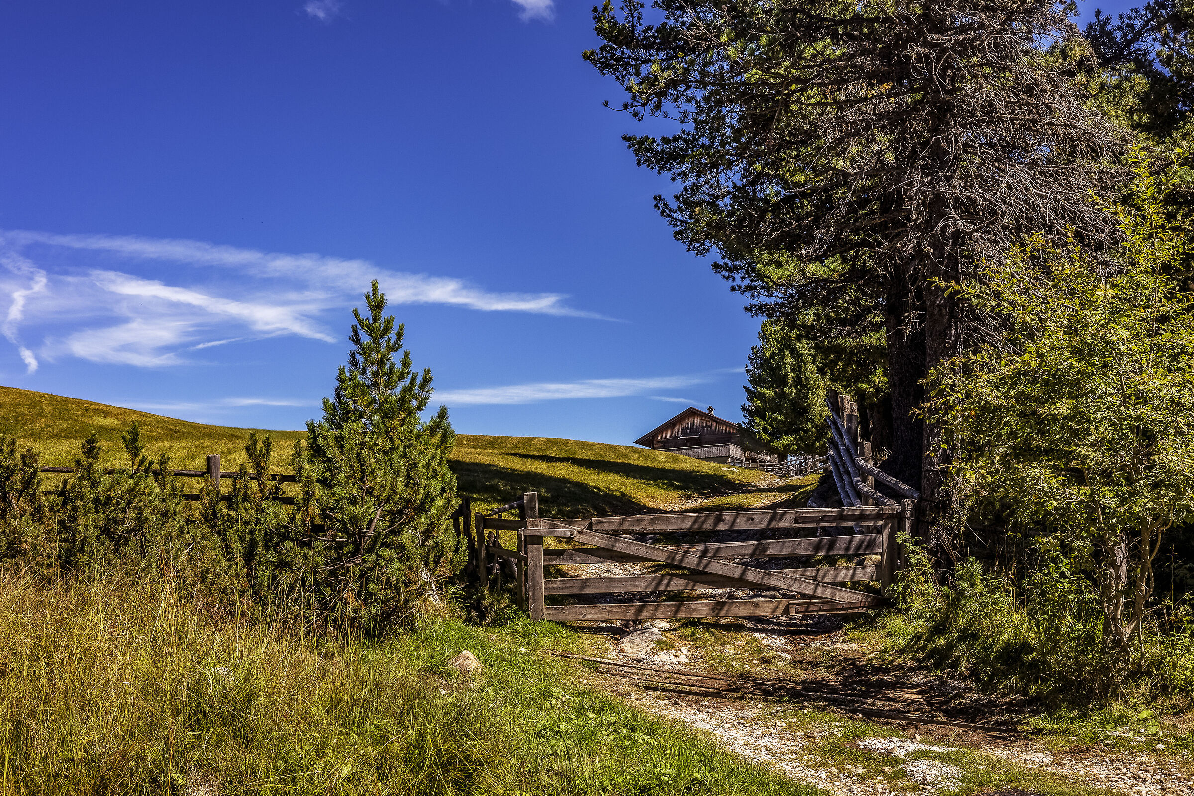 Alpe di Villandro (BZ)