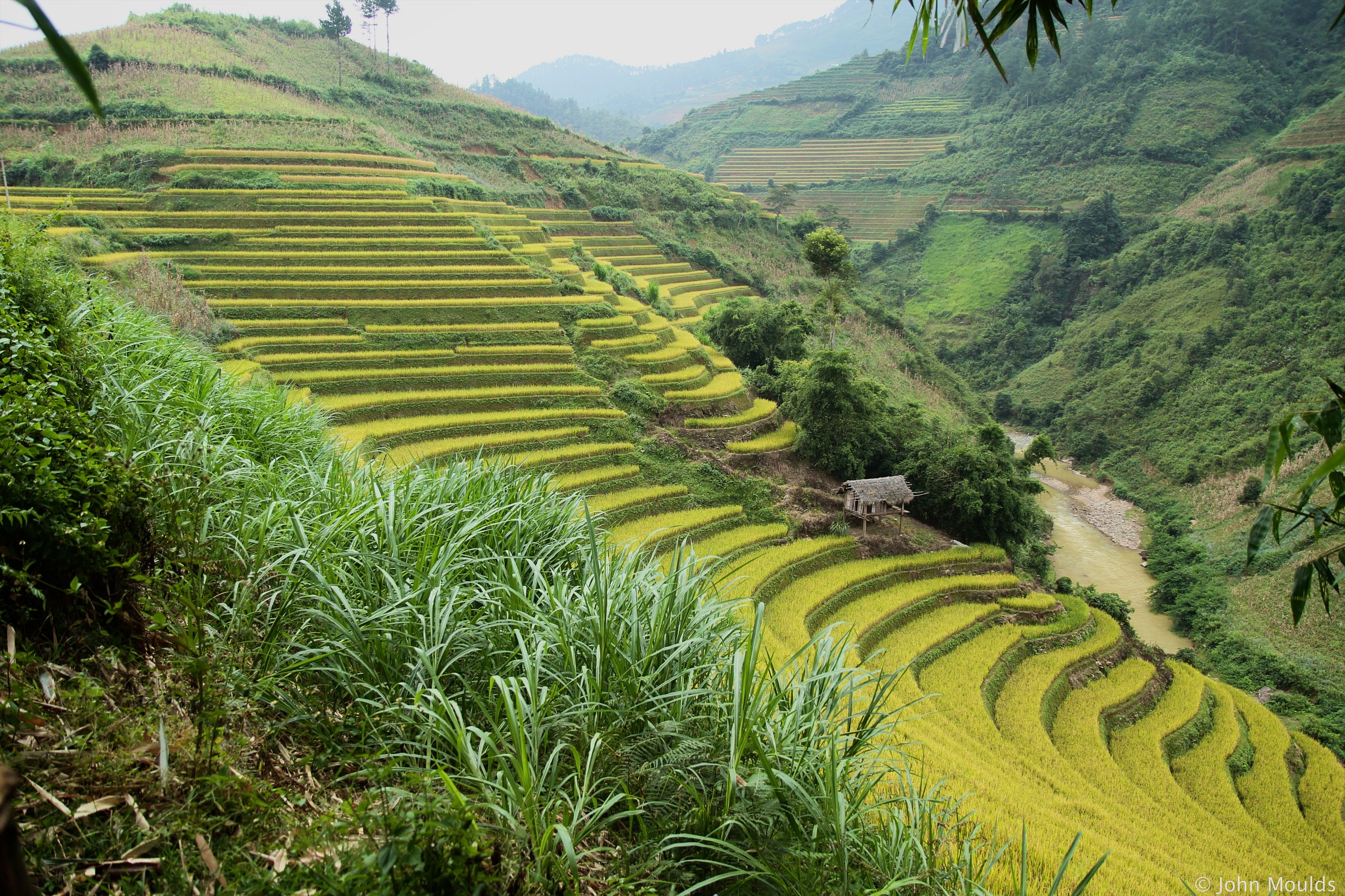 Mu Cang Chai...