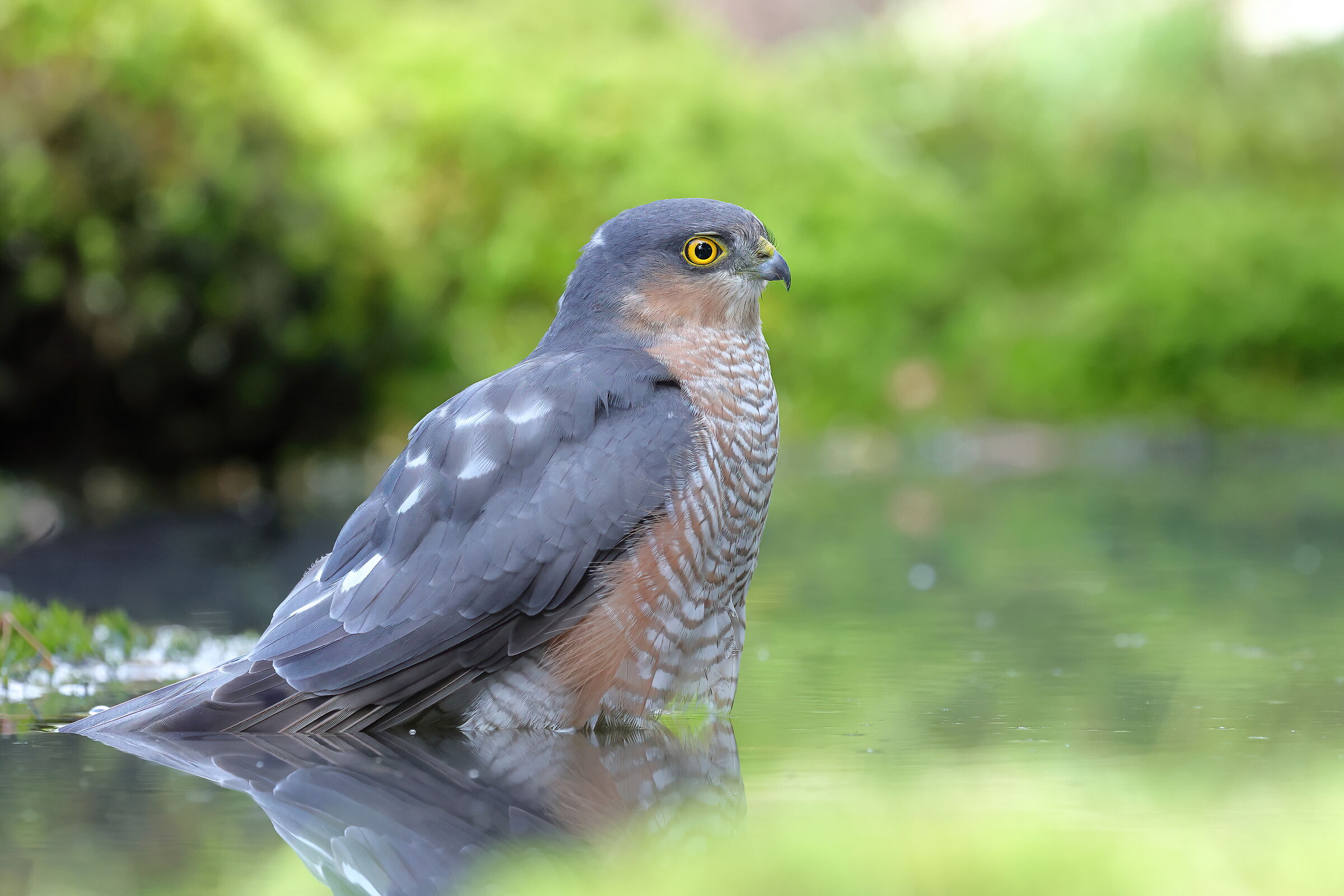 In the late summer afternoon