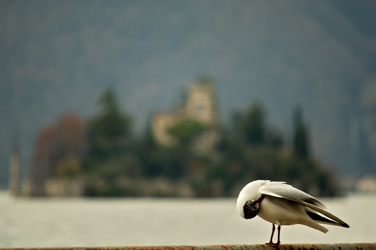 Isola di San Paolo (Lago d'Iseo)