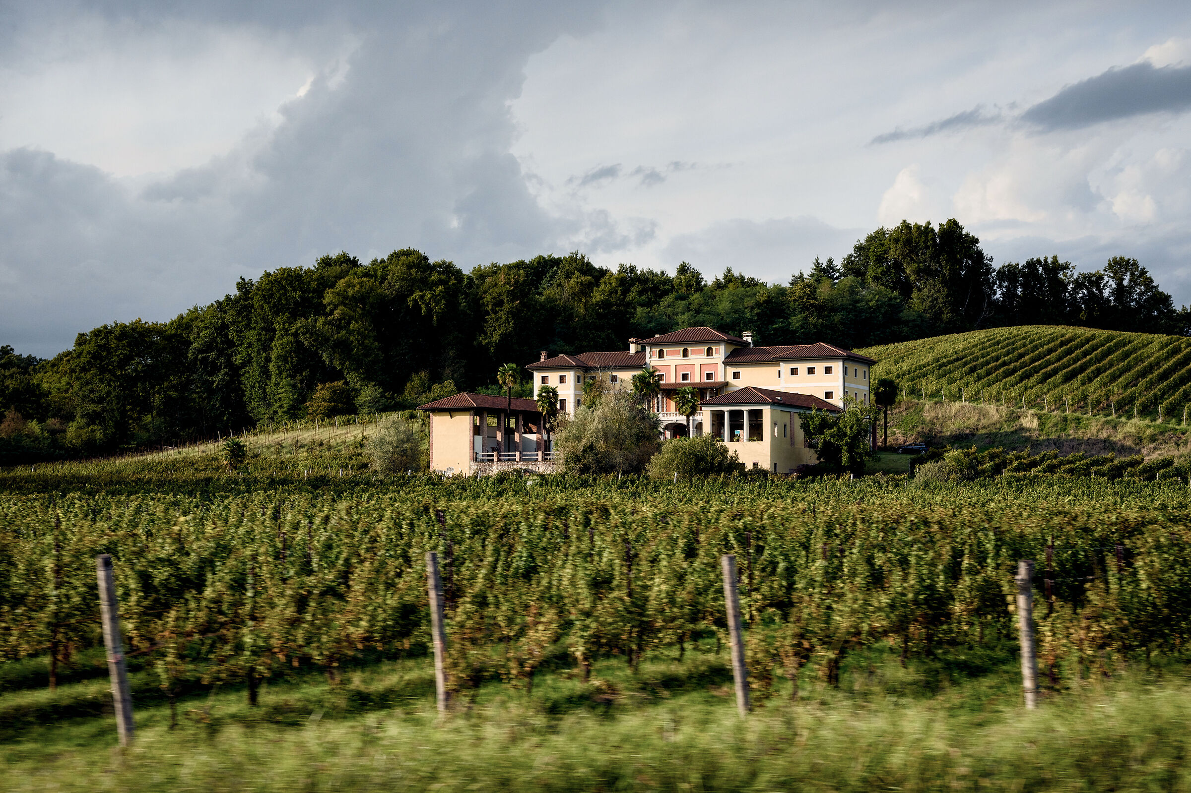 Bramaterra vineyard