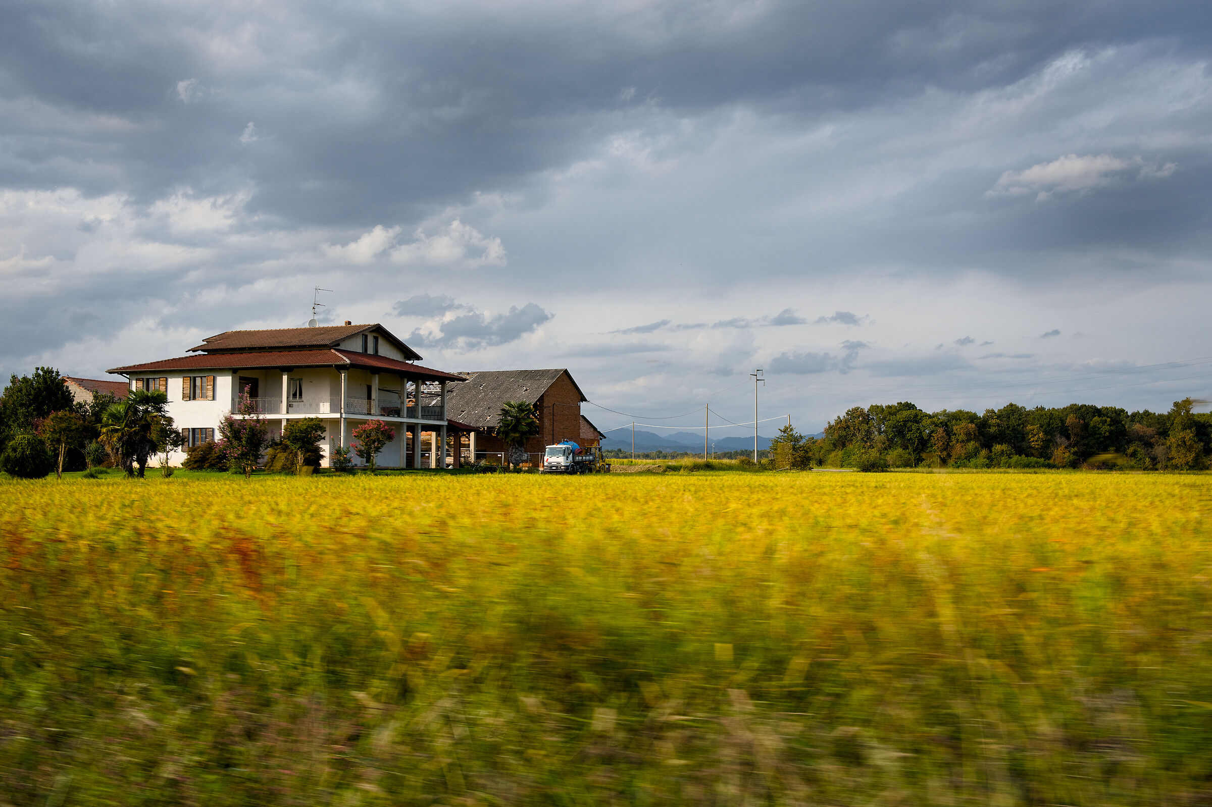 Rice fields in the Vercelli area
