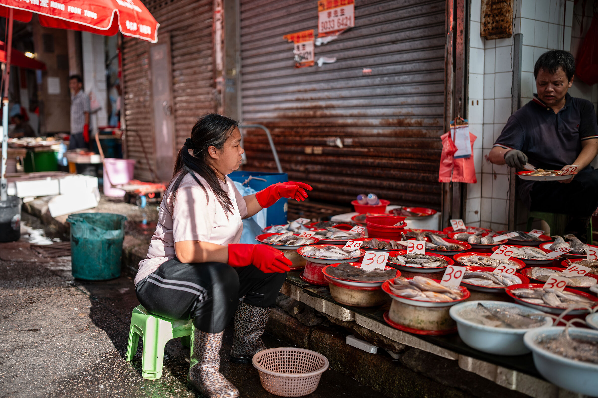 No, give me that other fish