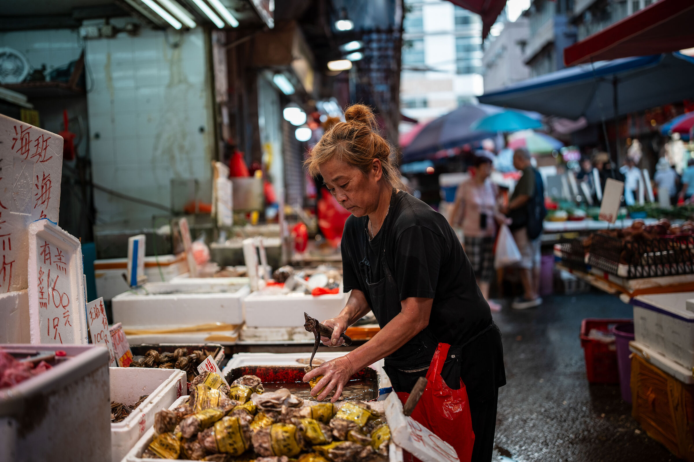 Snails, shells and other inedible things...