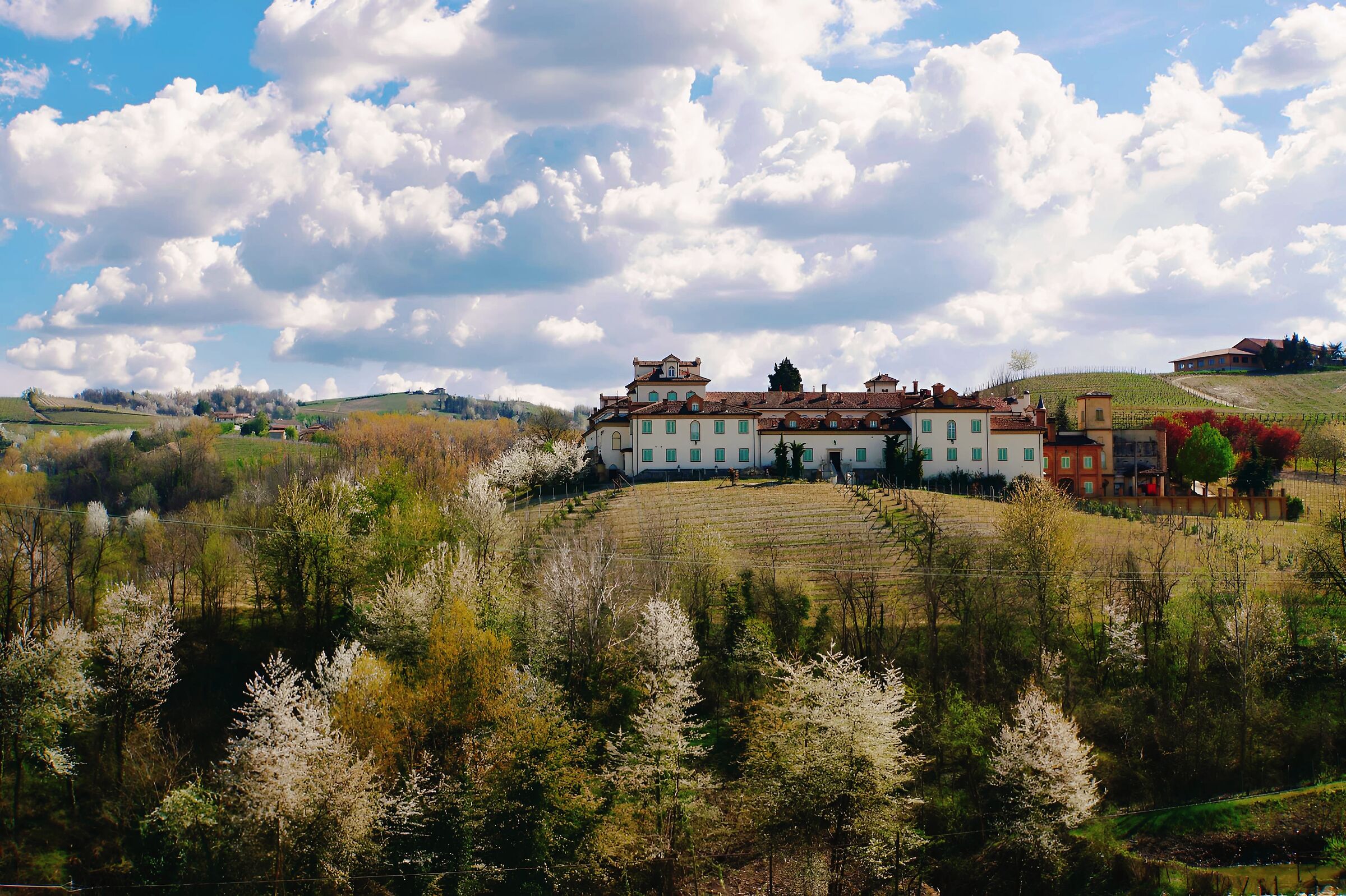 View of the Langhe