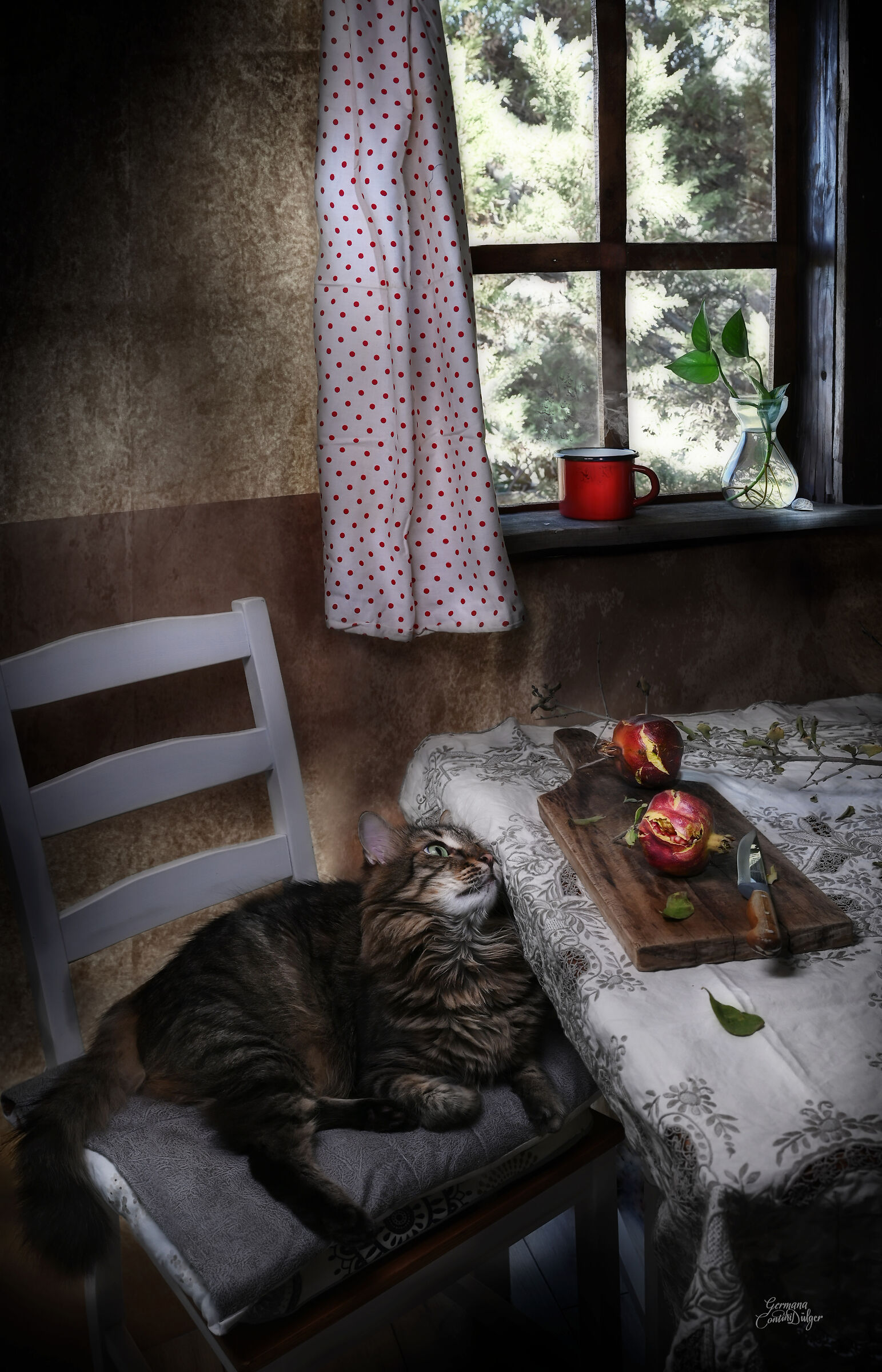 La finestra e Leo