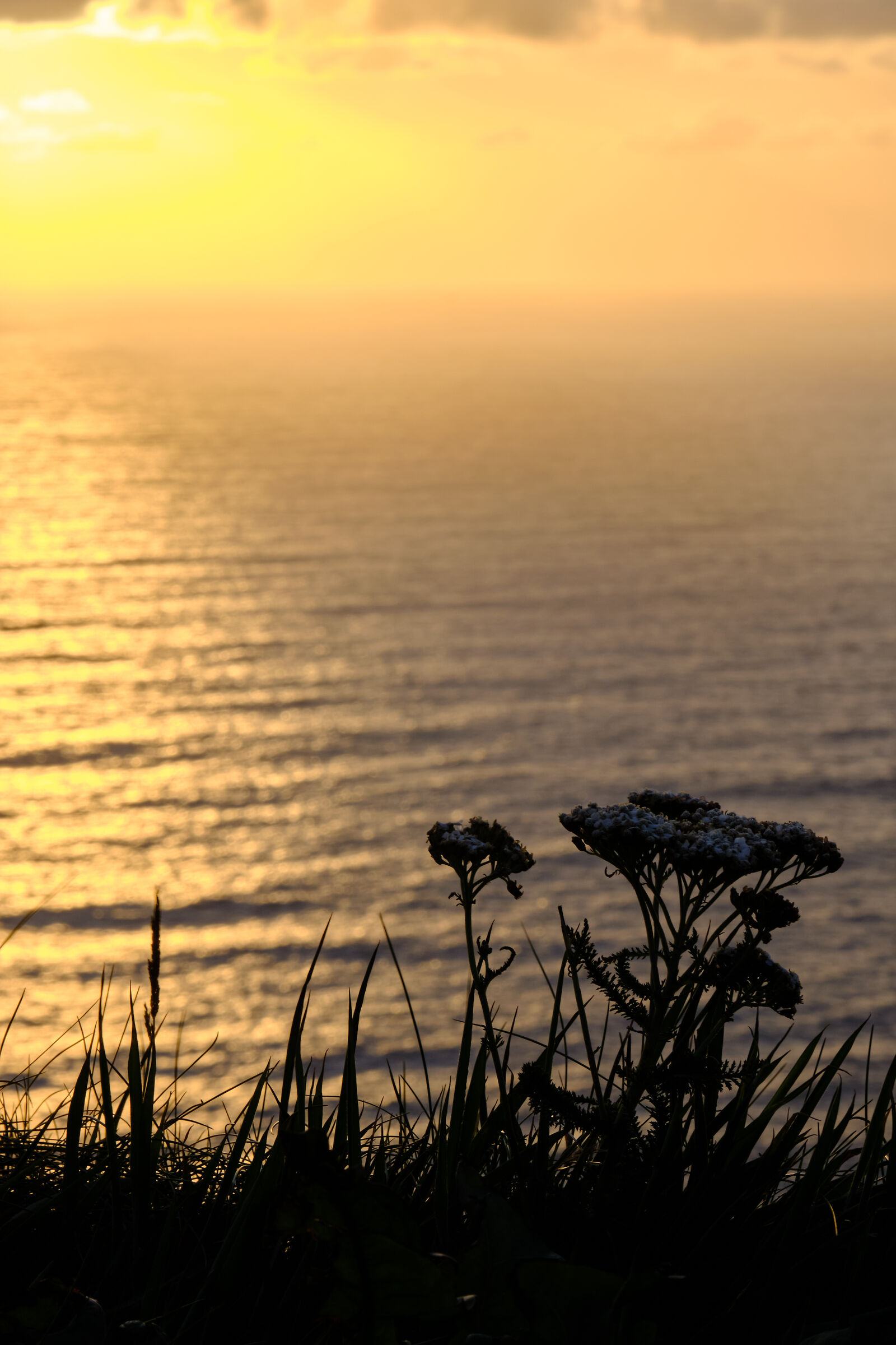 golden sunset