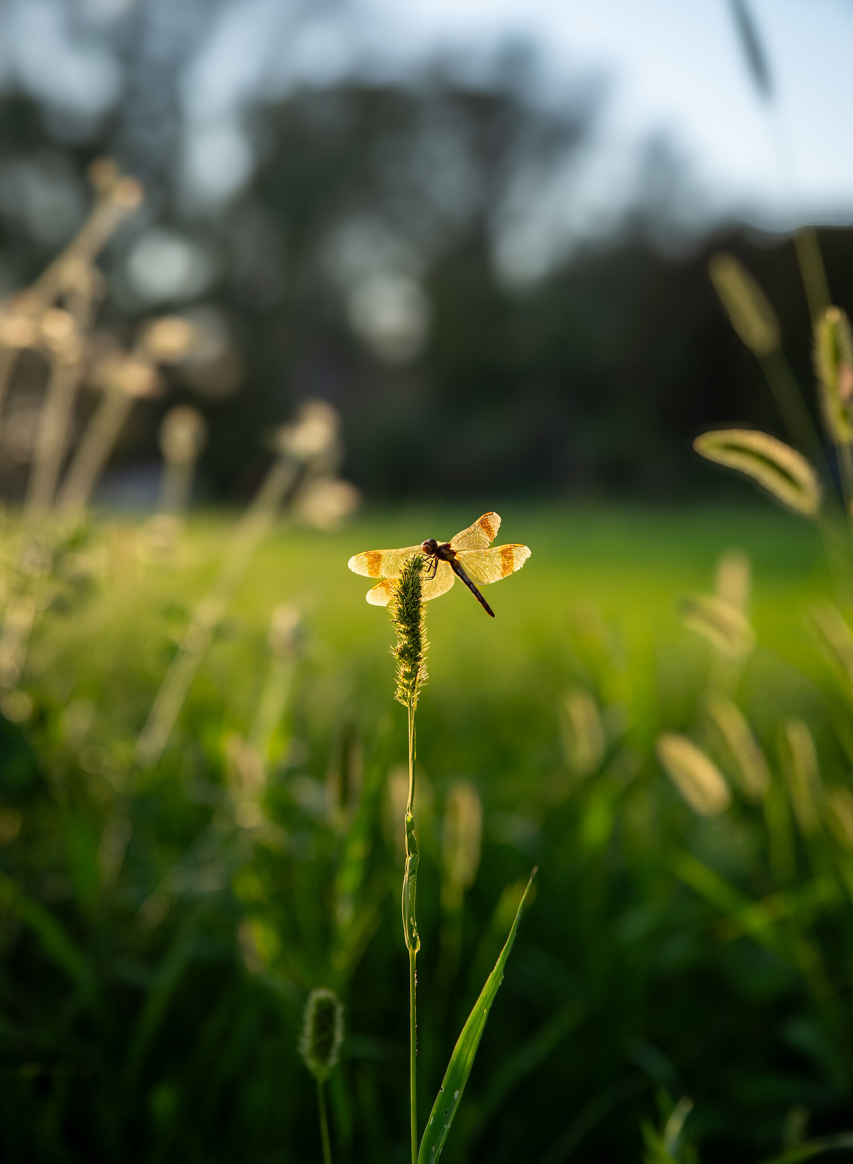 Untitled Photo