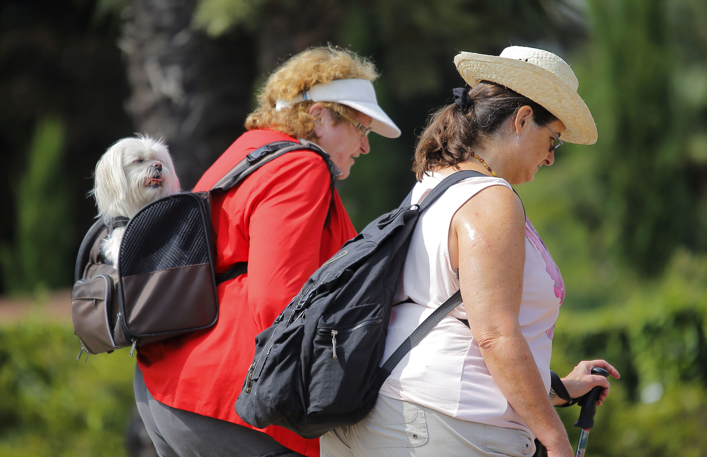turisti