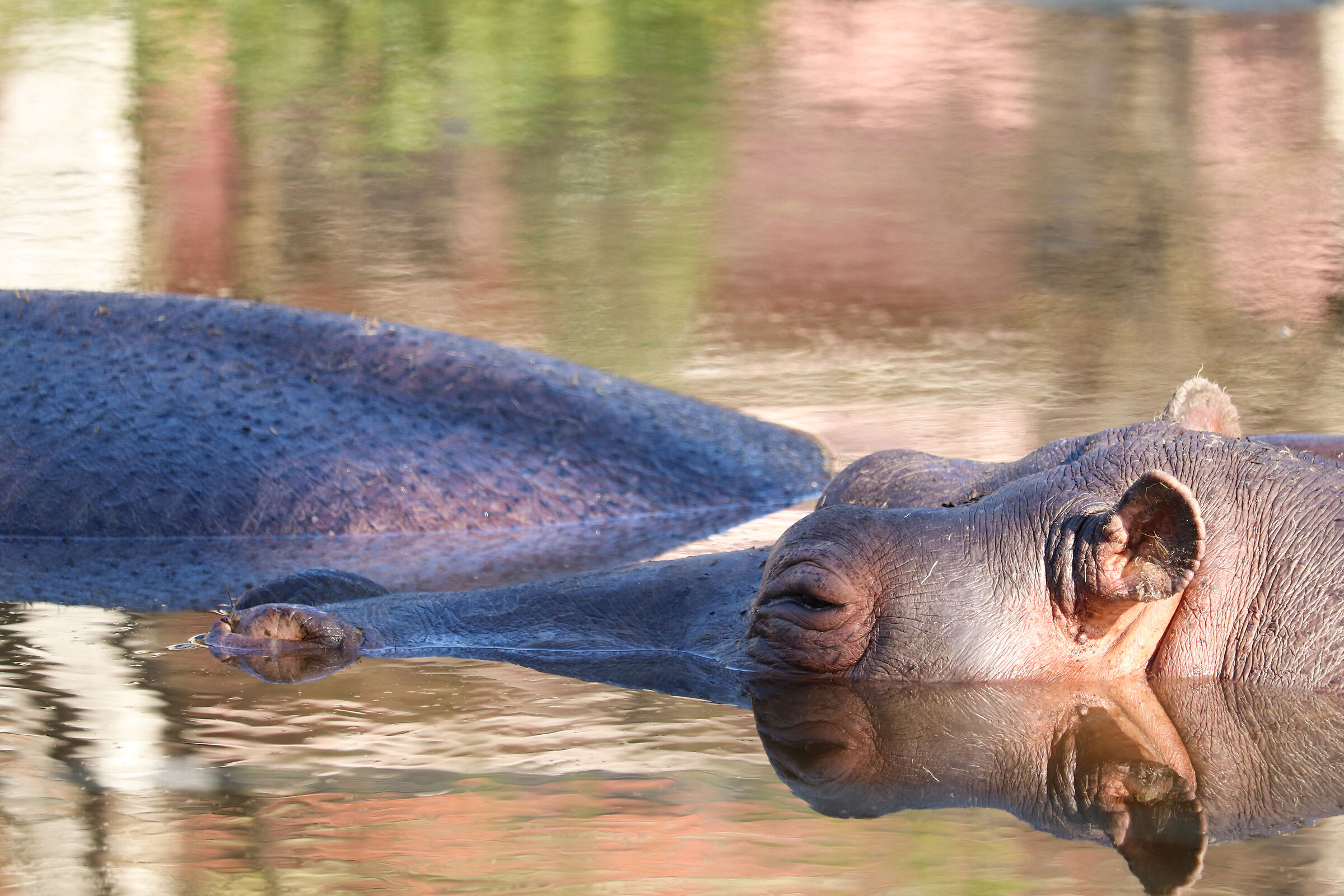 "Le Cornelle" Wildlife Park - March 2025