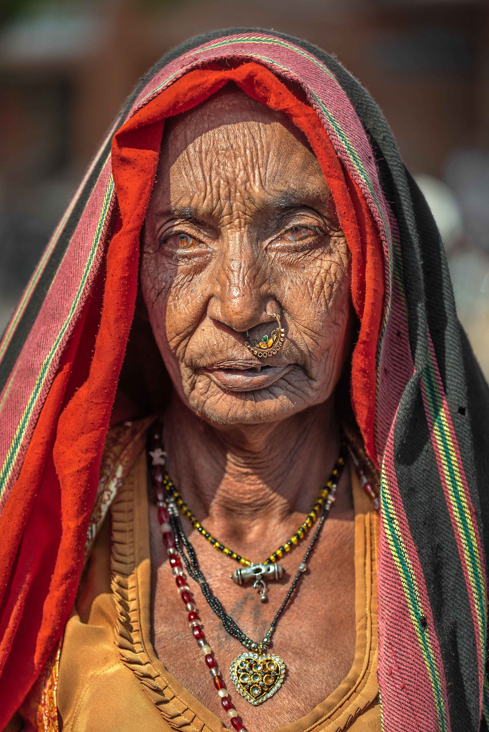 The Old Lady