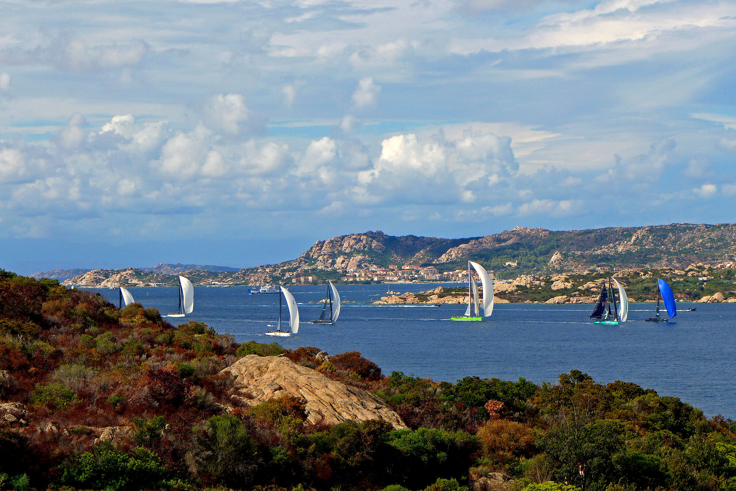 Tailwind