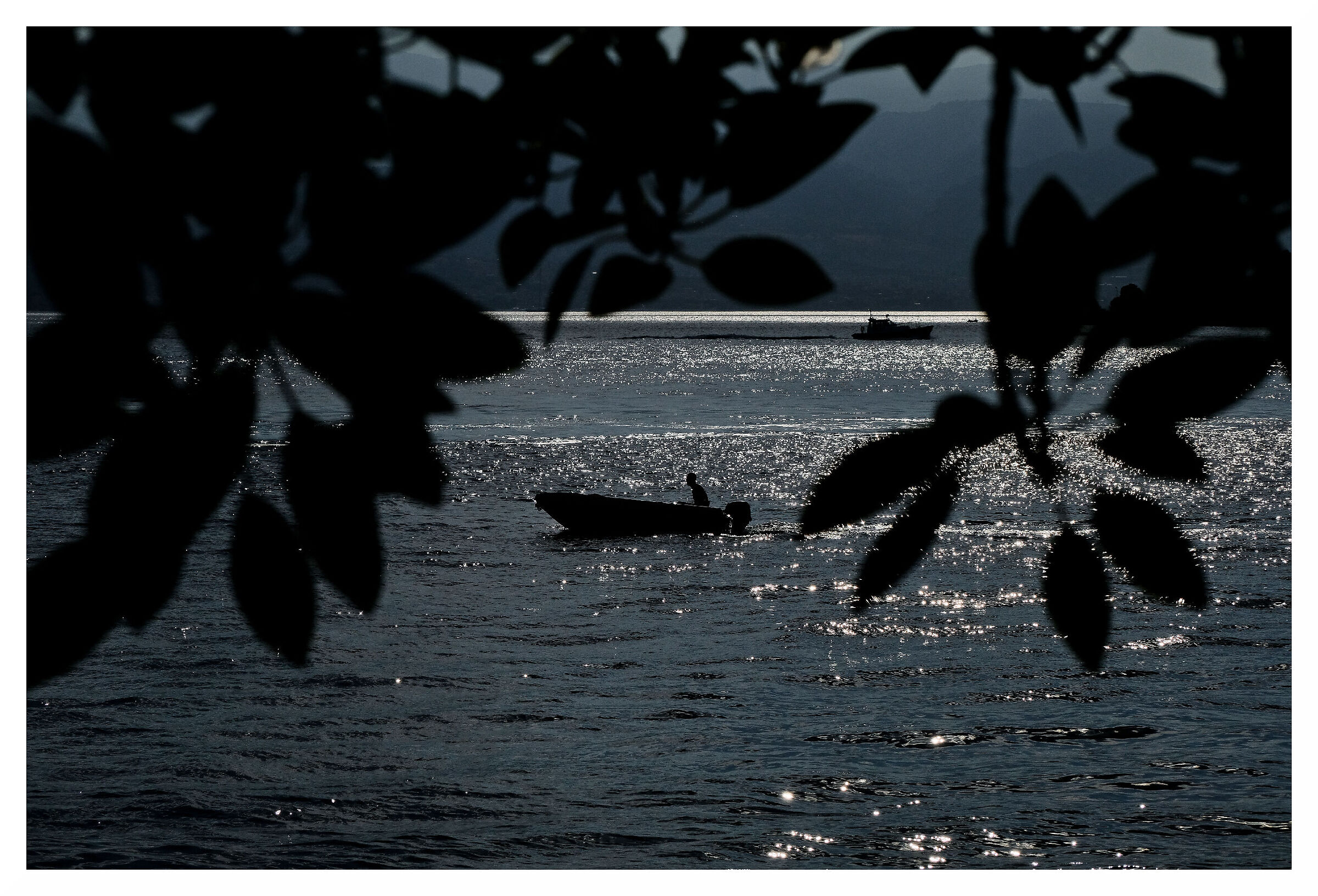 The port in the morning