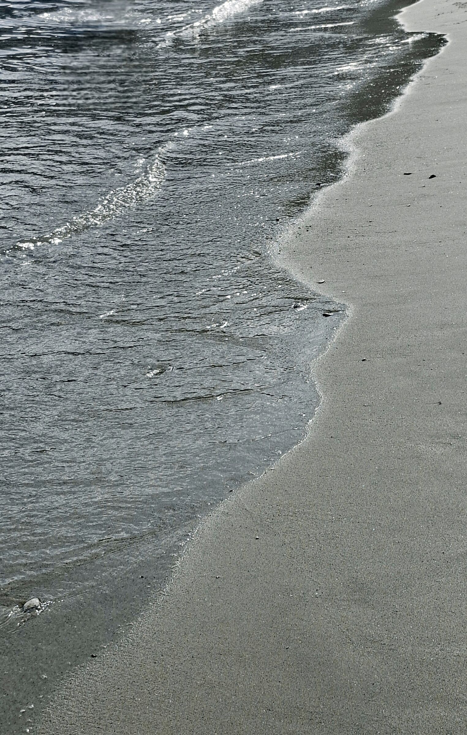 Sapore di mare..