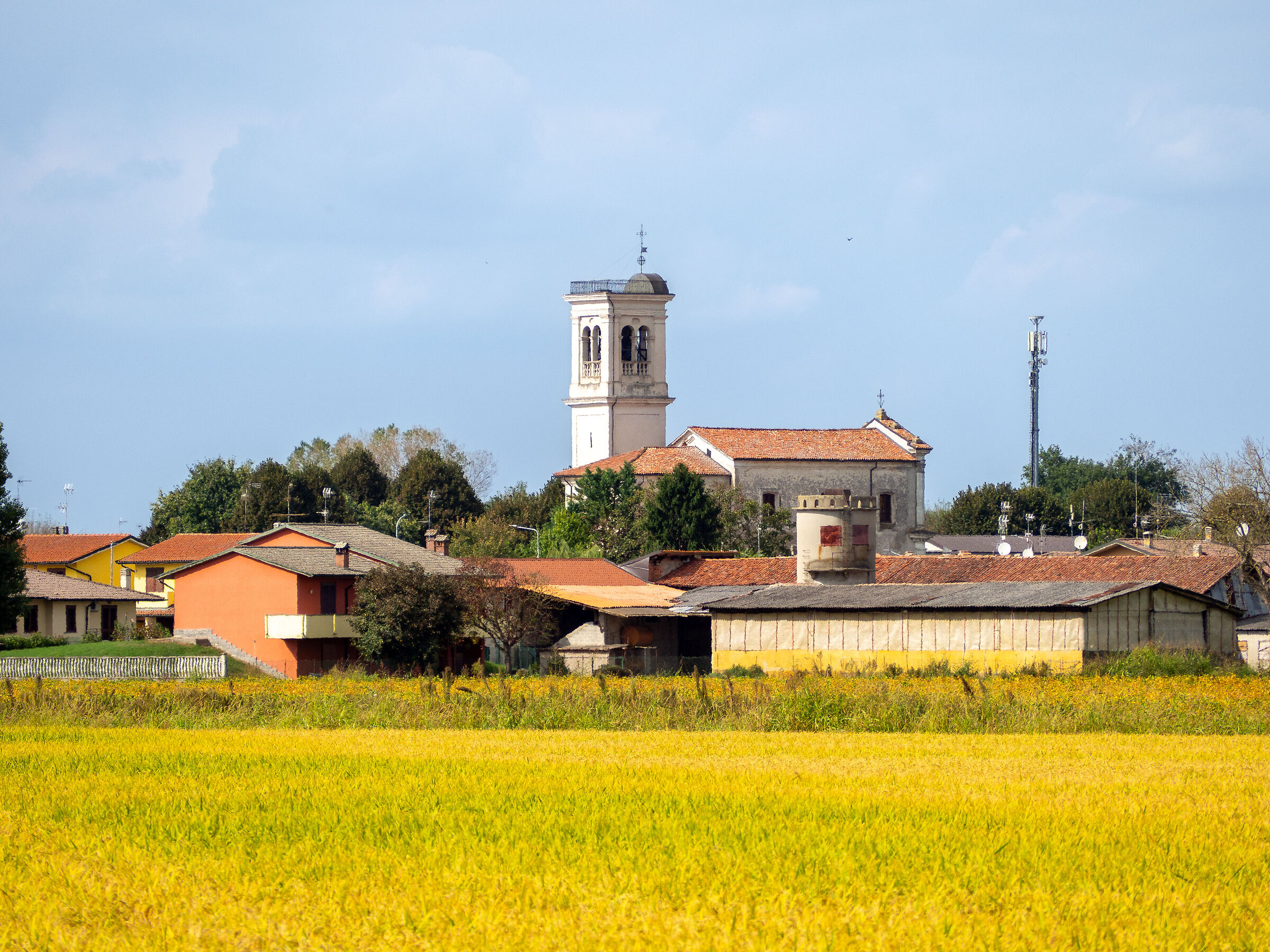 Torre d'Arese among the rice