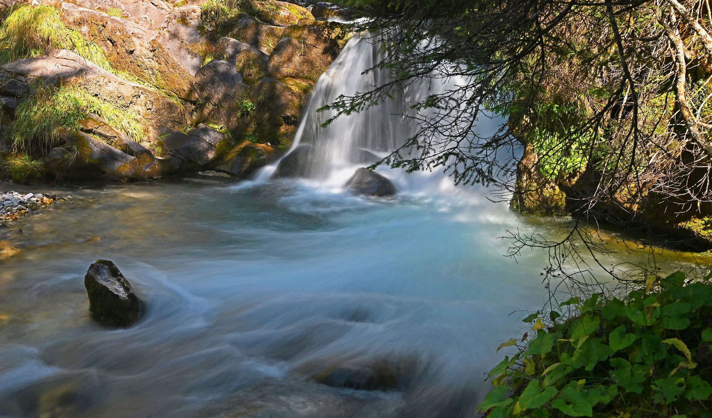 torrente in val venegia