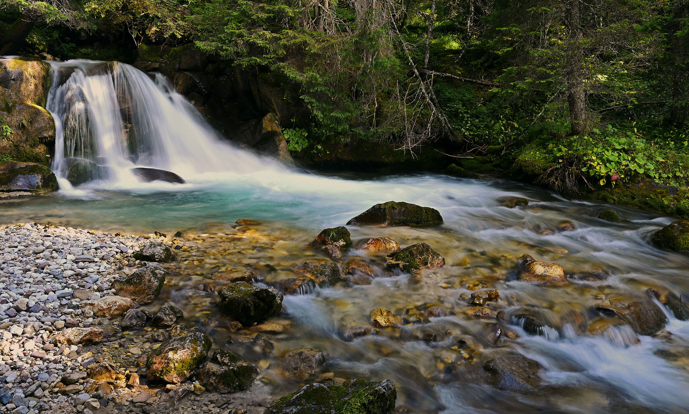 torrente in val venegia
