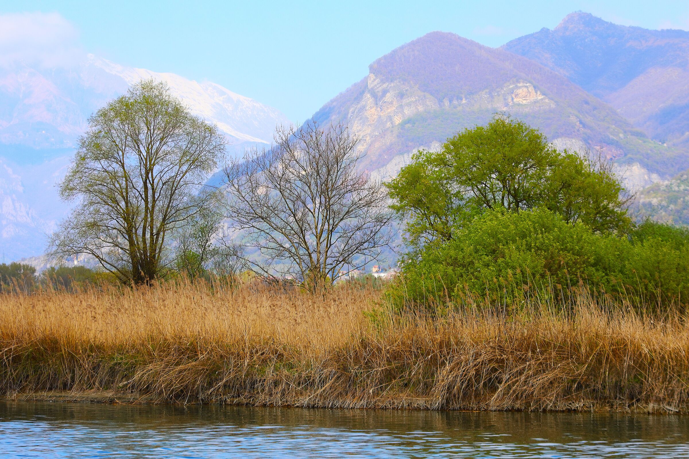 La palude 07 aprile 2025 - 0104
