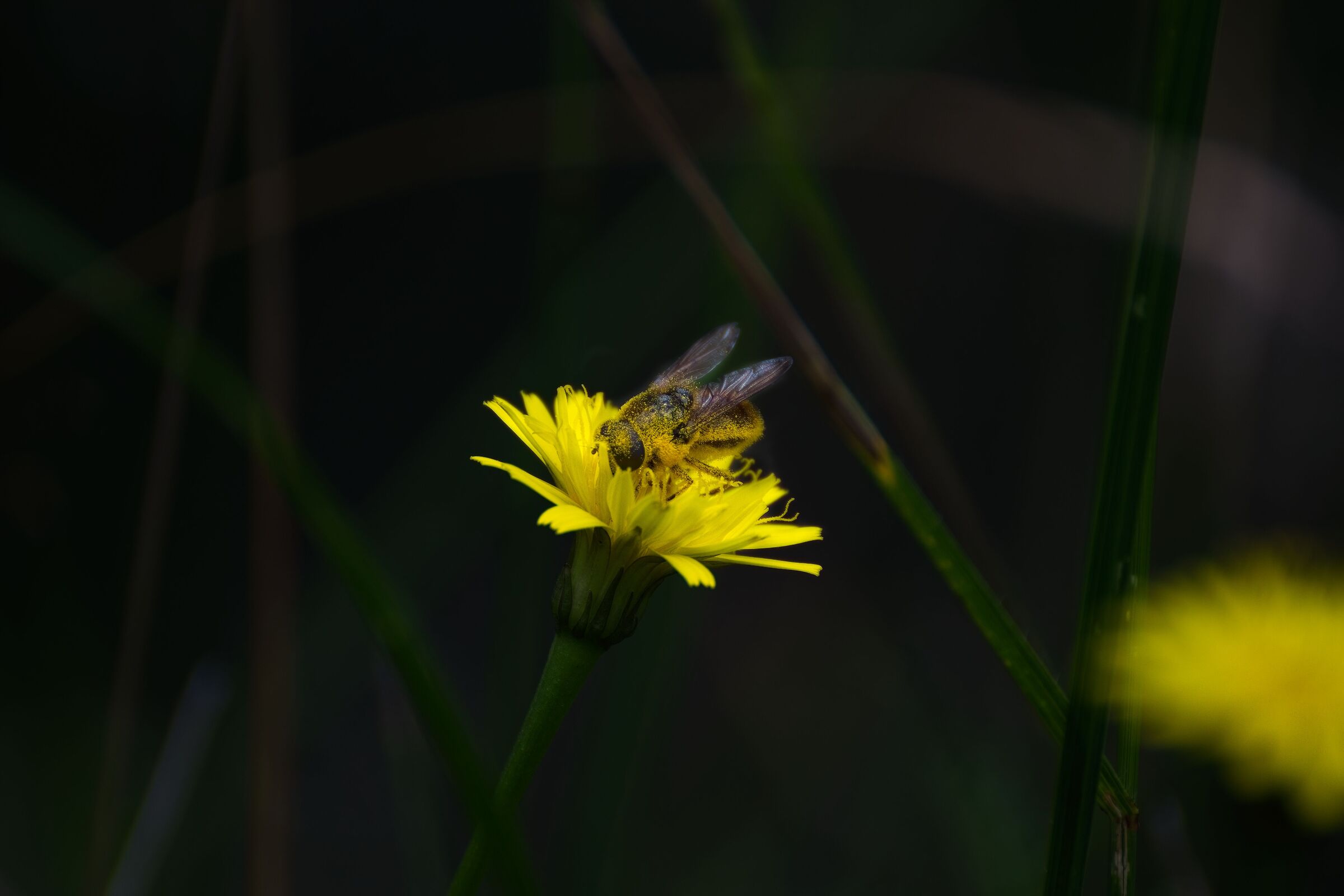 Untitled Photo