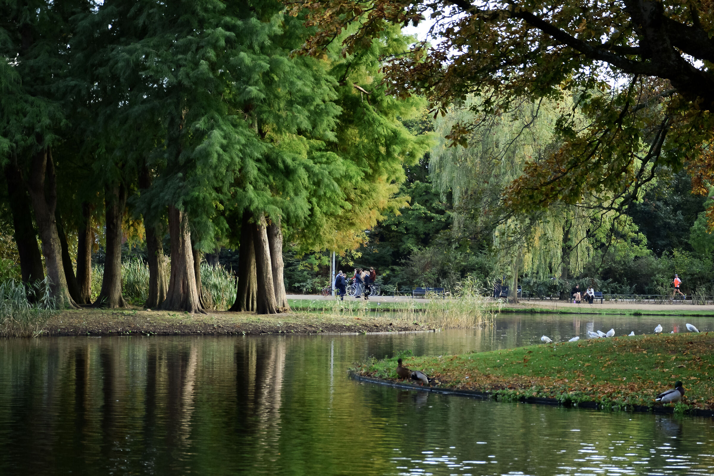 Vondelpark