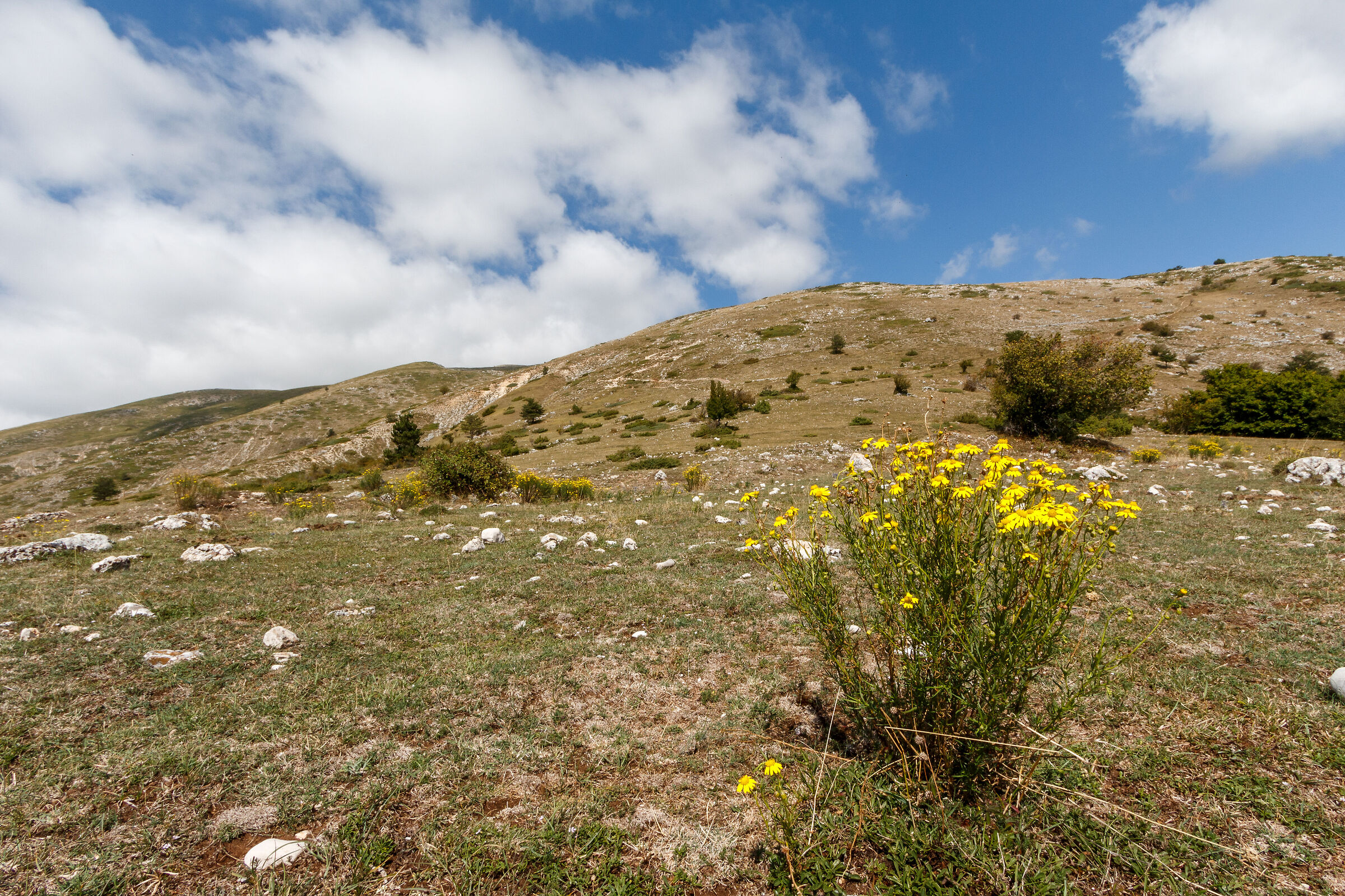 Loc. Fonte Tavoloni - Abruzzo