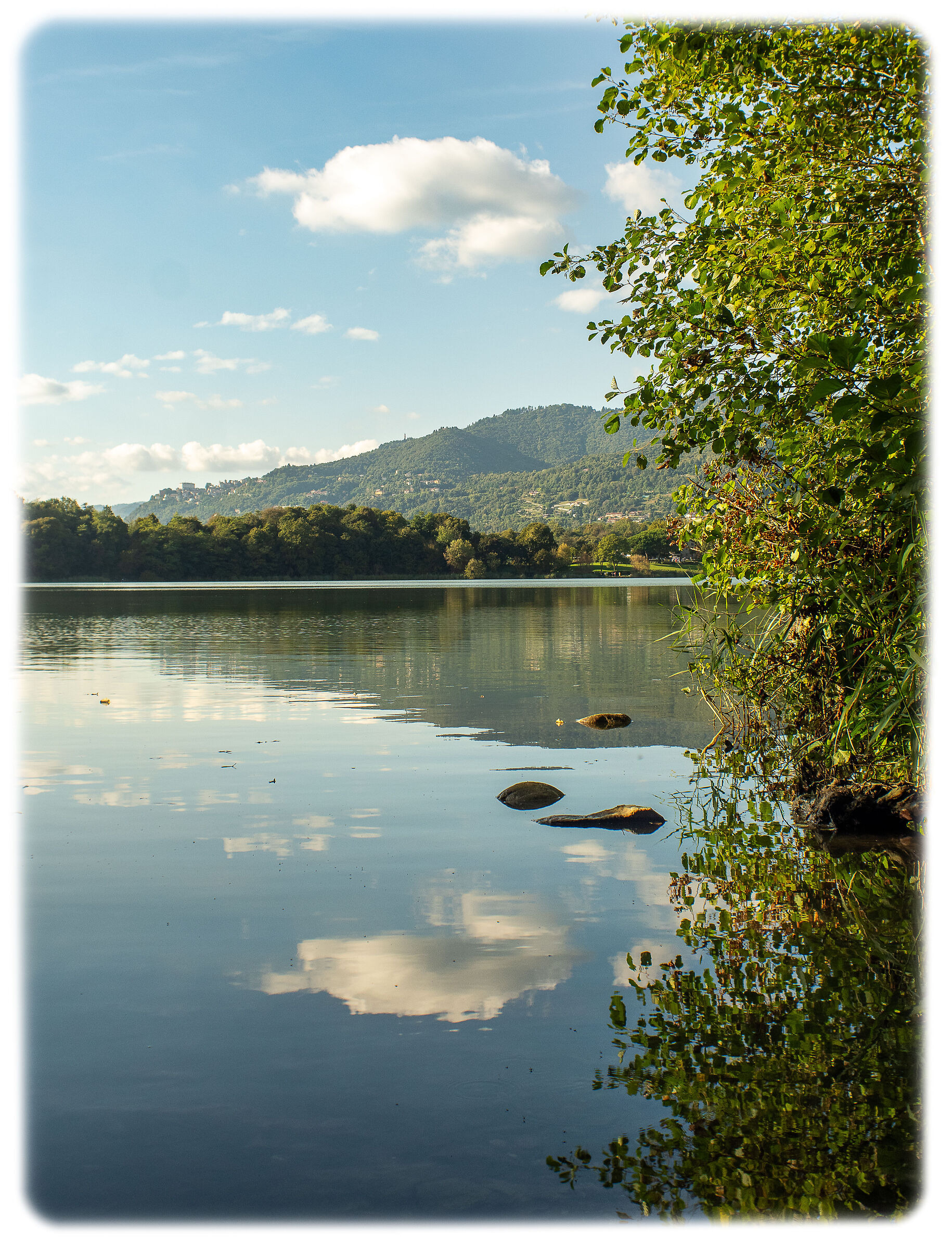 Un pomeriggio al lago