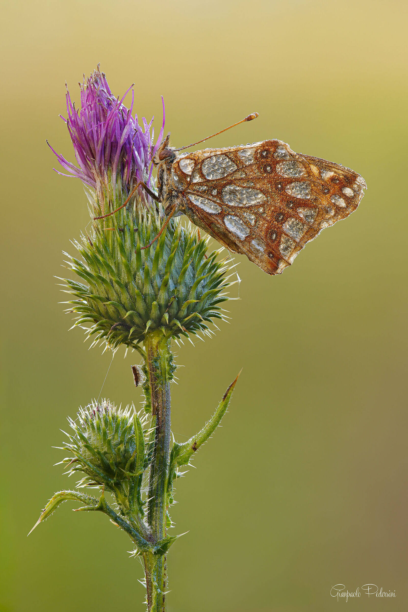 Oggi è andata così....