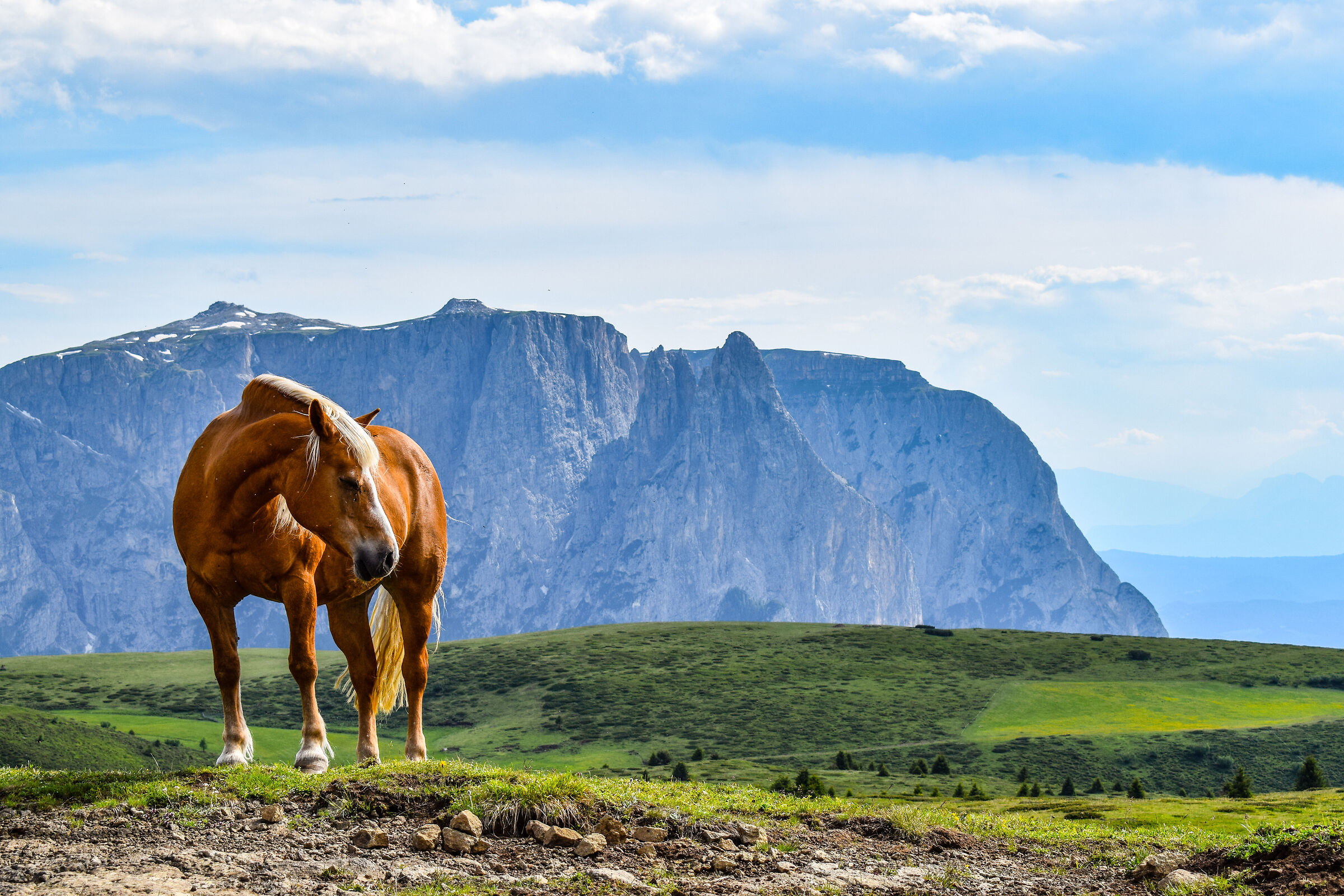 Bullaccia/ Alpe di Siusi