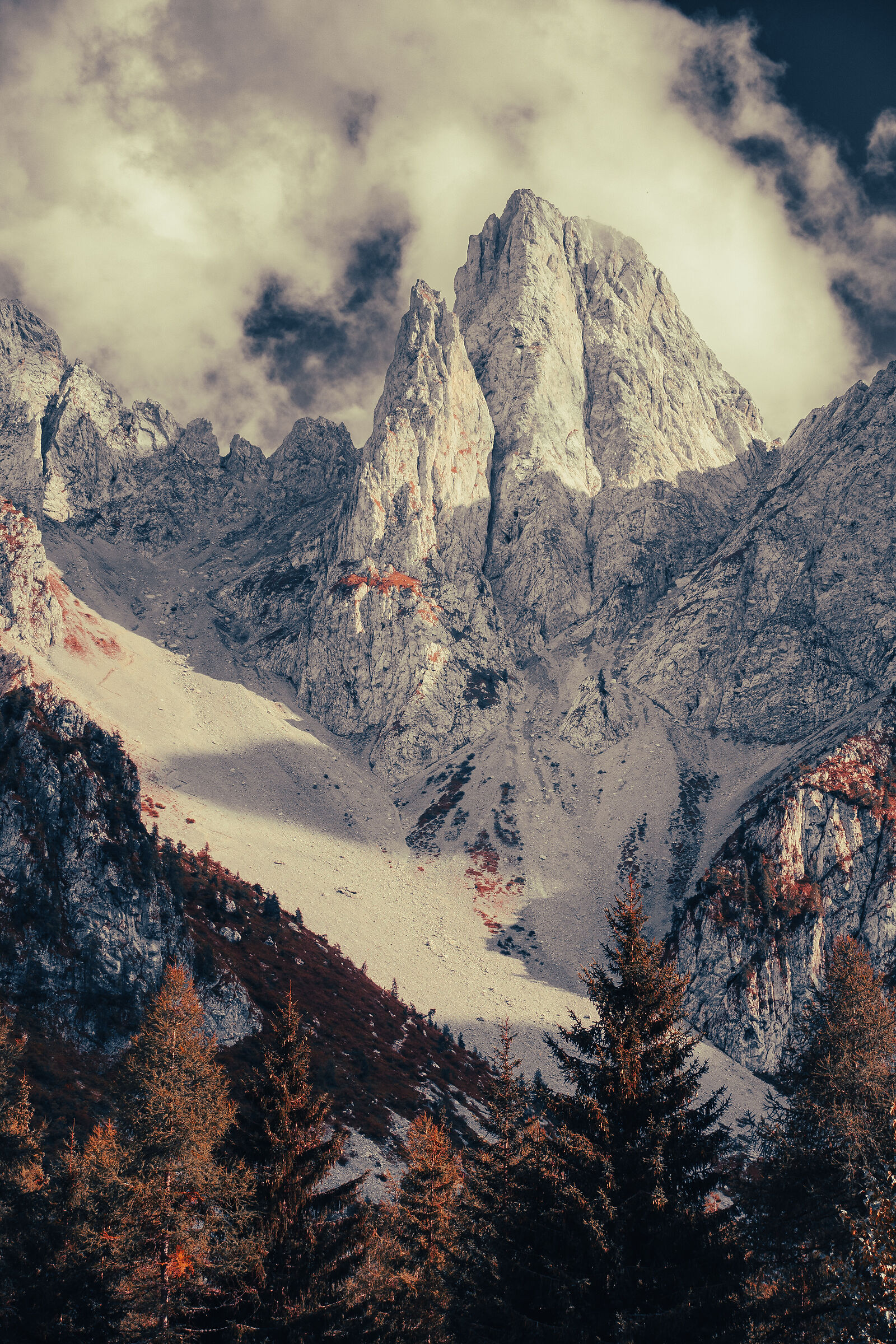 Cimone della Bagozza