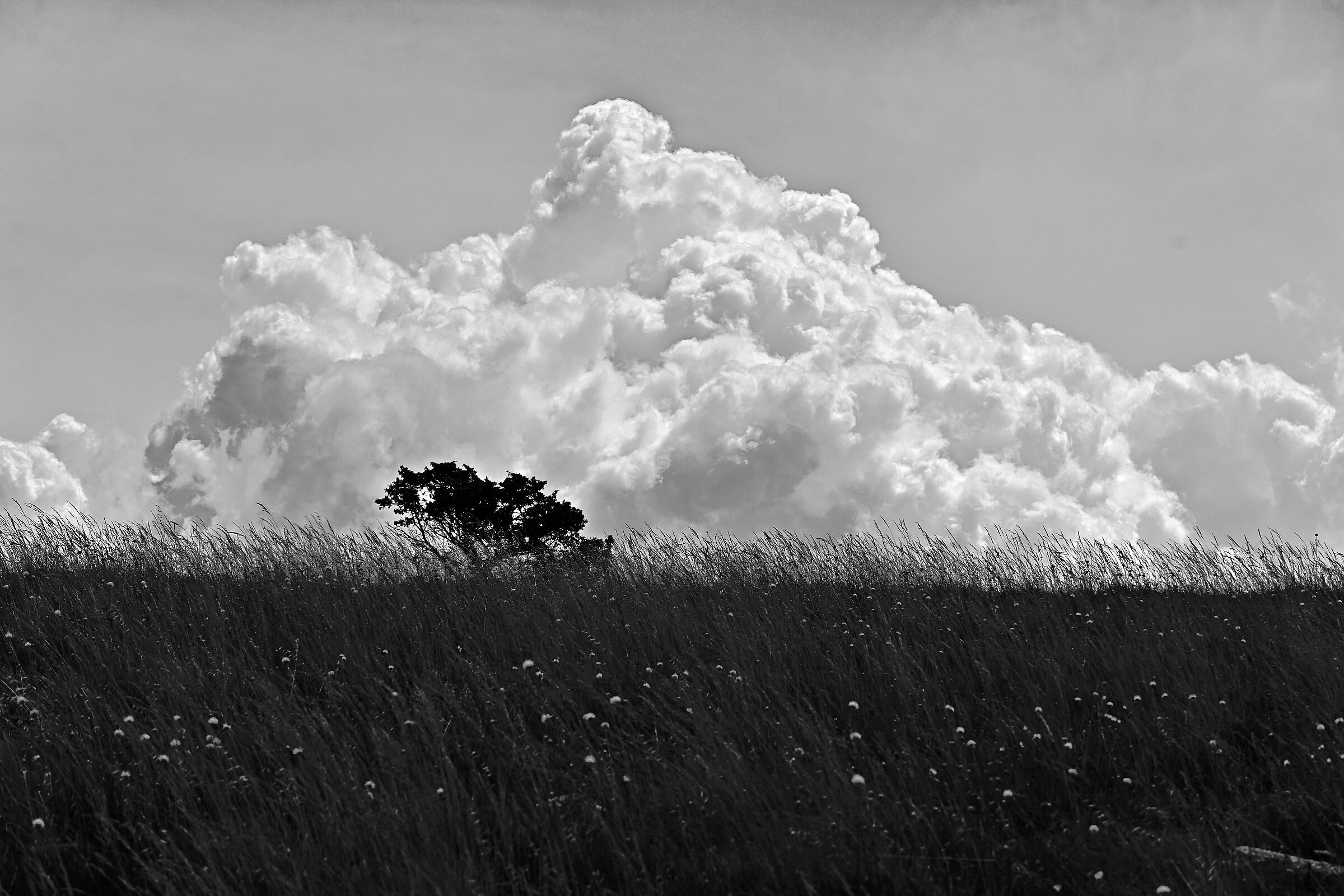 Solitudine tra le nuvole