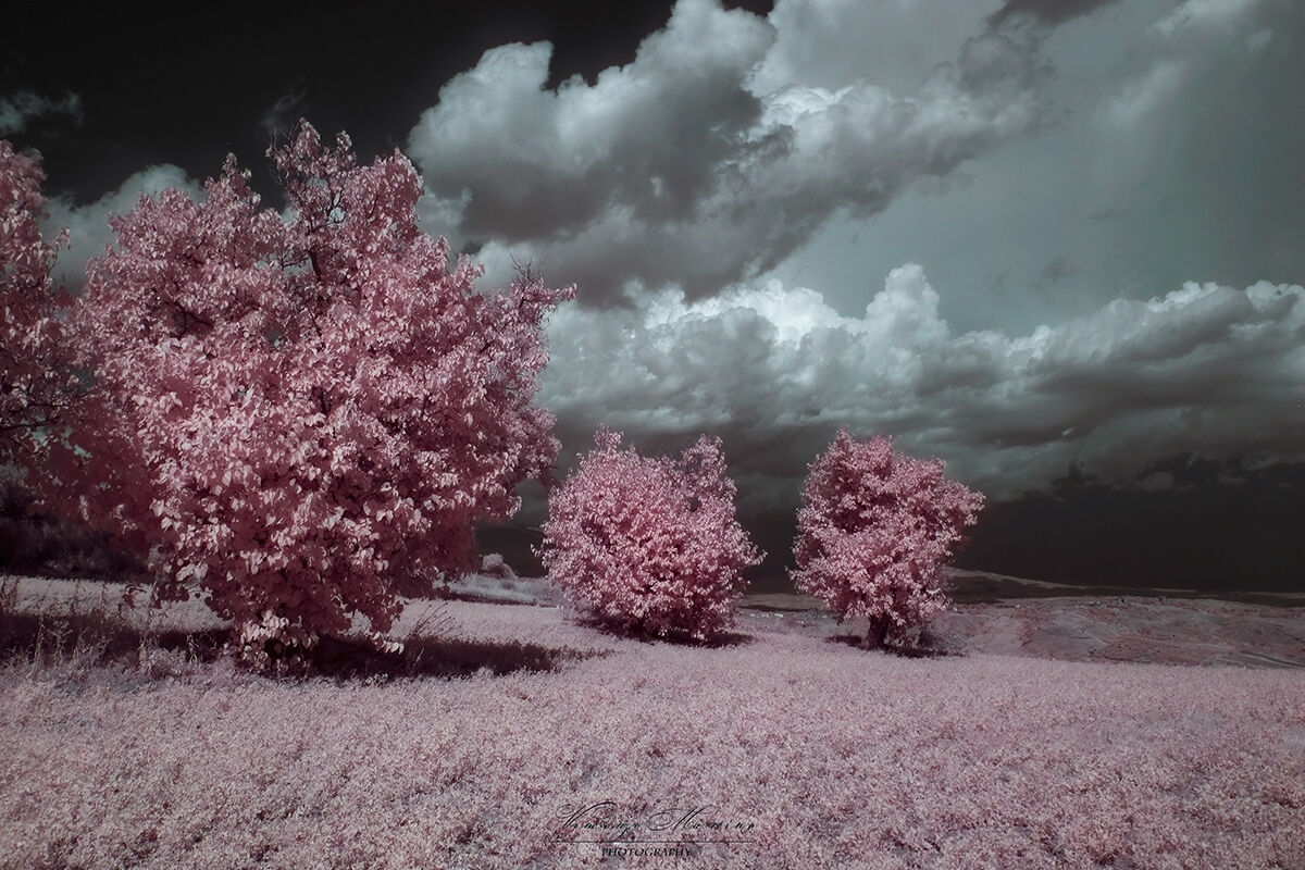 Infrared vision