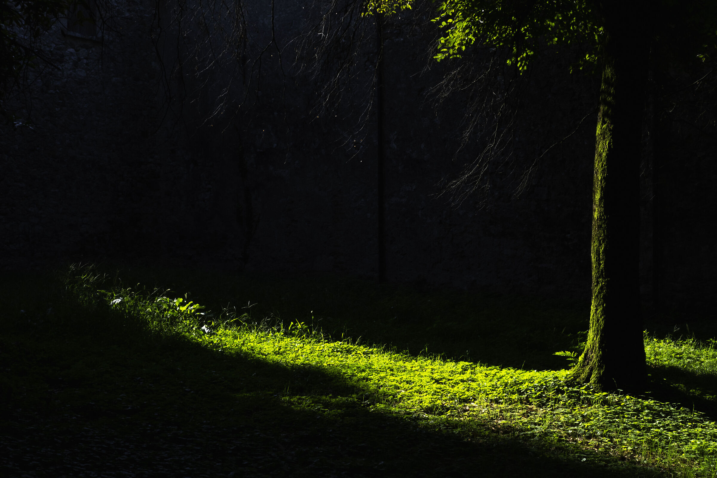 Green Light