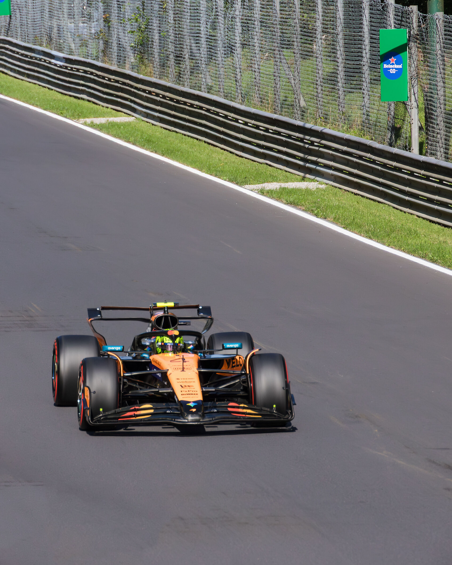 Monza 2025 qualifiche - Lando Norris