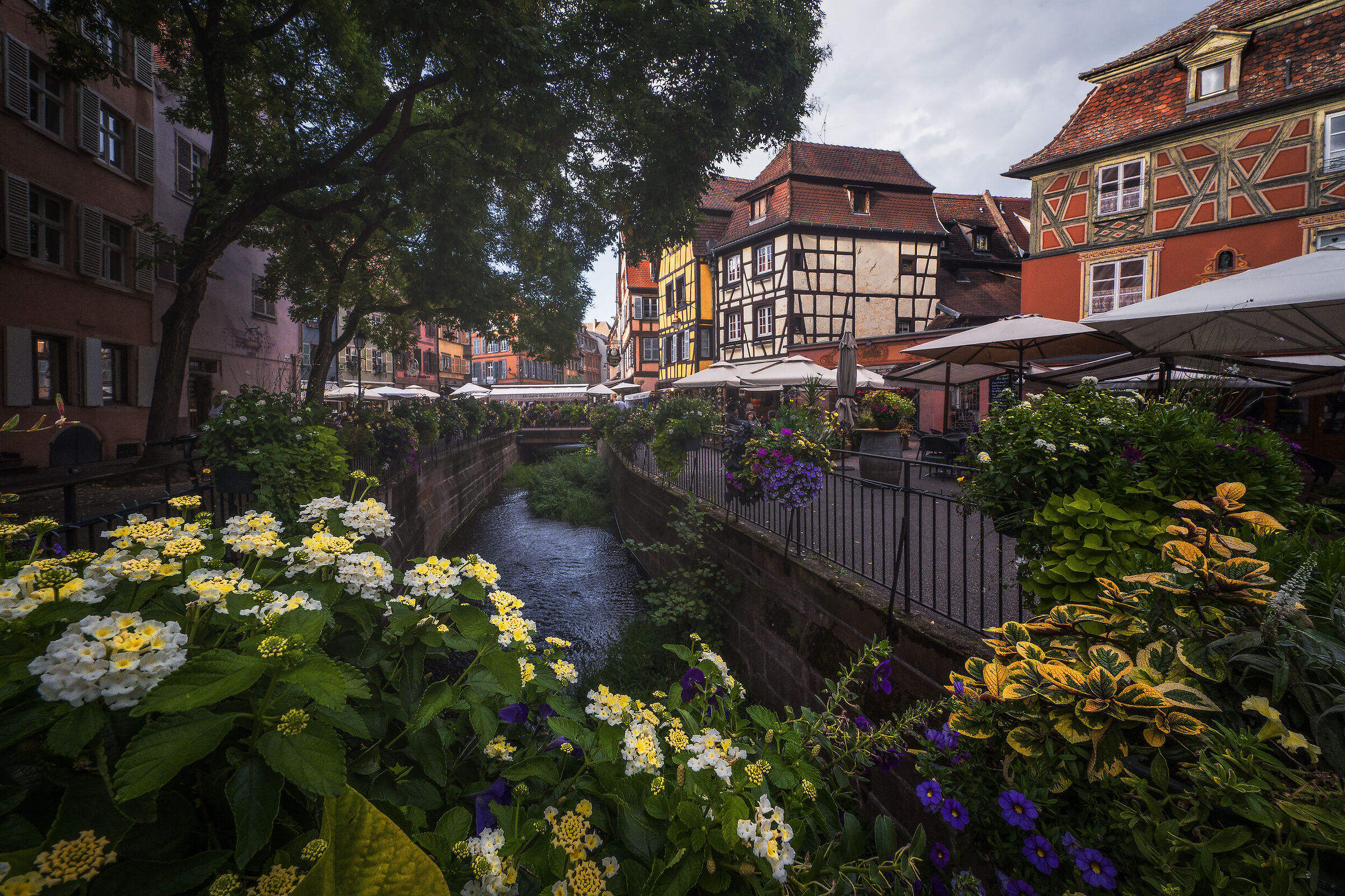 Colmar, Alsace